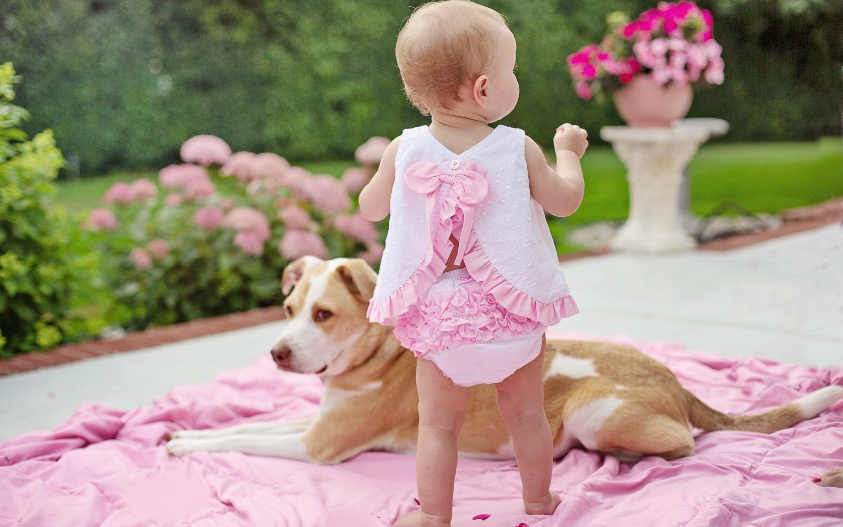 Маленькая девочка с собакой на розовом покрывале