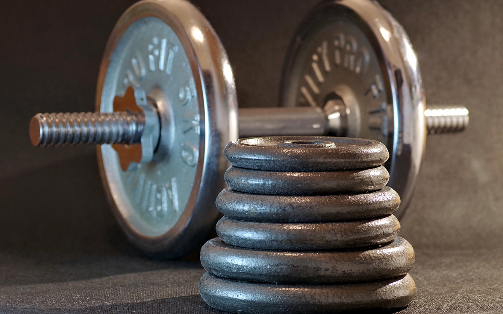 Гантеля с тяжелыми дисками