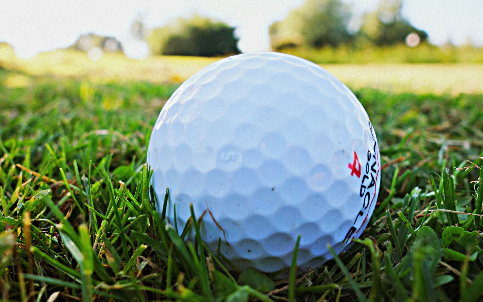 Белый мяч для гольфа в зеленой траве