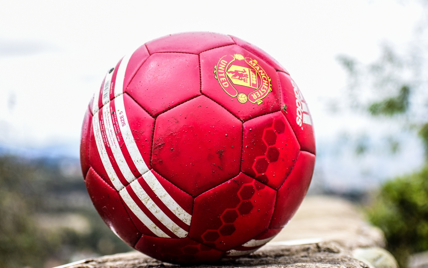 Красный футбольный мяч лежит на камне