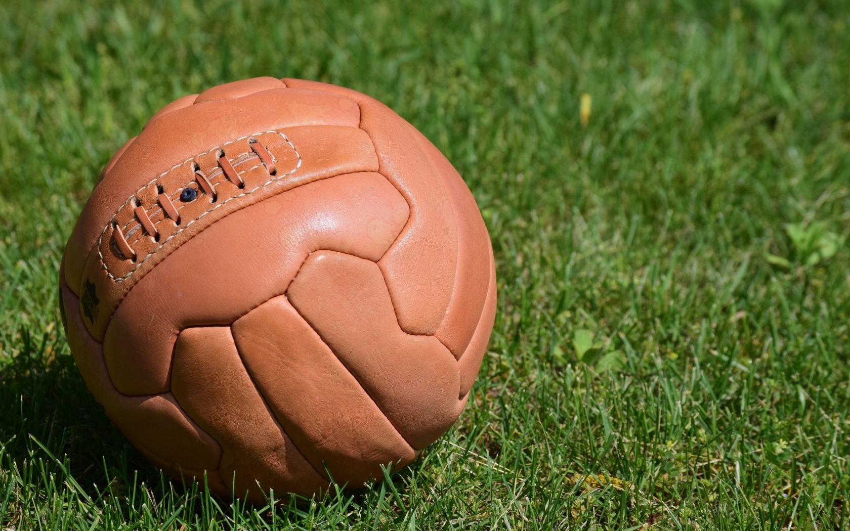 Коричневый кожаный мяч на зеленой траве 