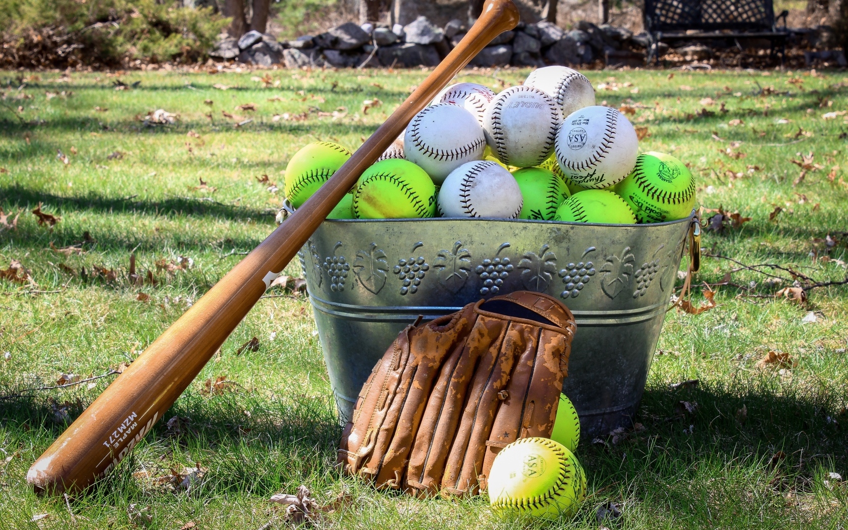 Ведро с бейсбольными мячами и битой