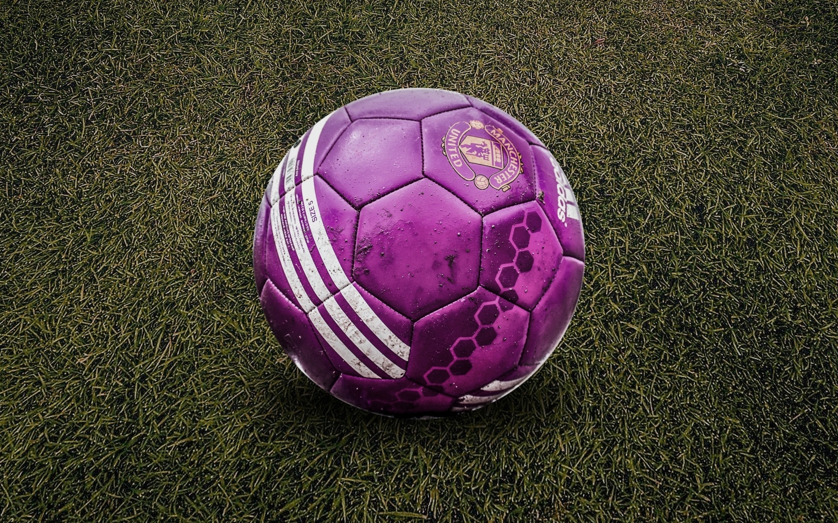 Фиолетовый футбольный мяч на траве