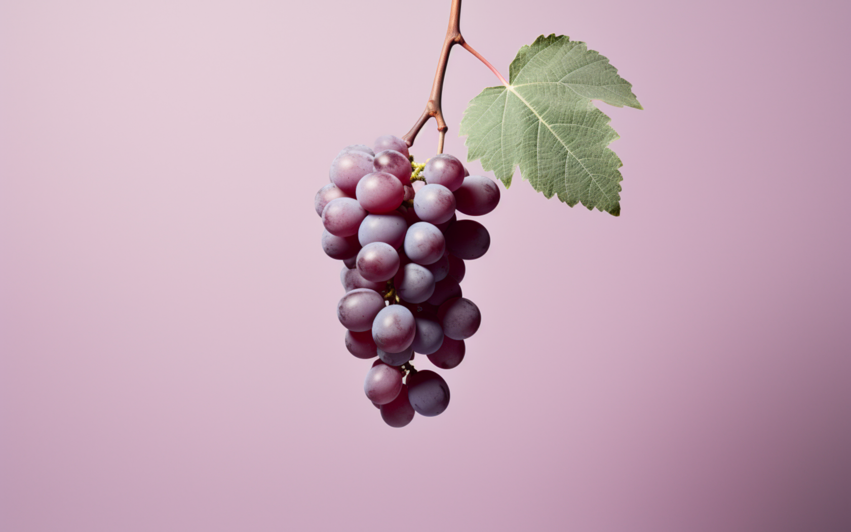 Гроздь винограда на сиреневом фоне