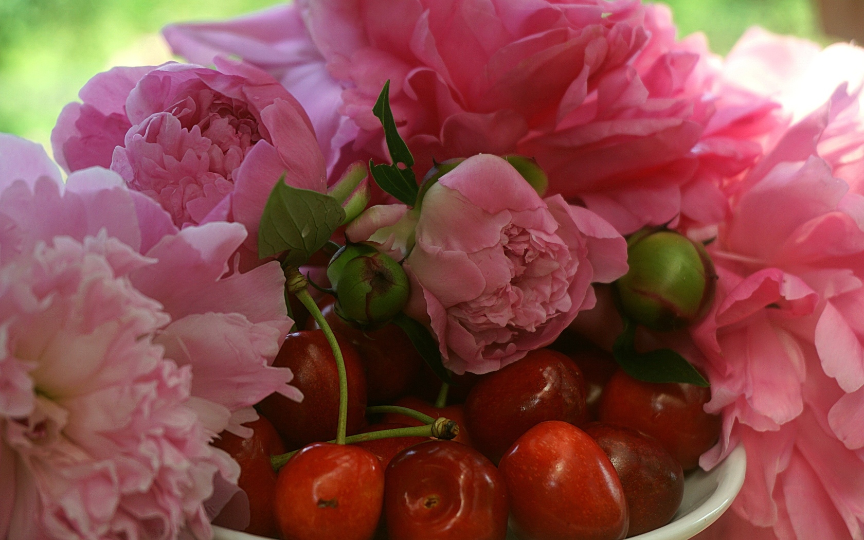 Вкусные черешни с розовыми цветами пиона