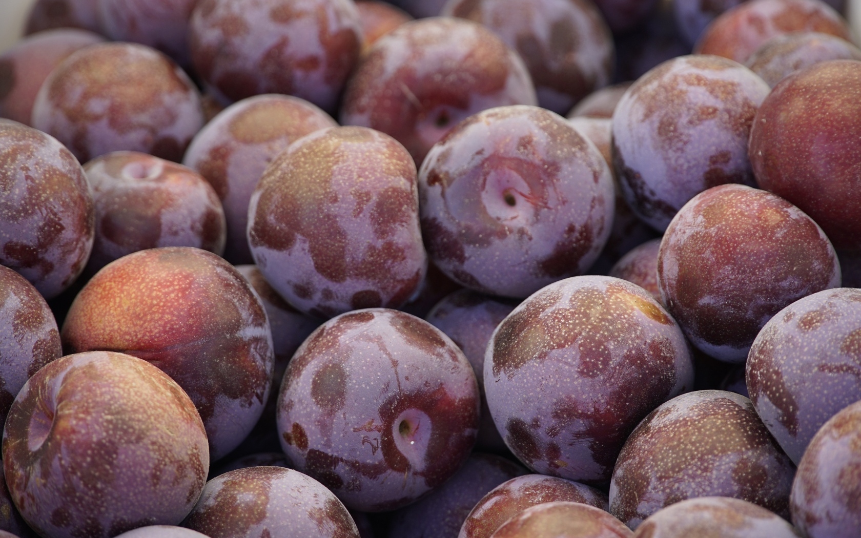 Много розовых слив крупным планом