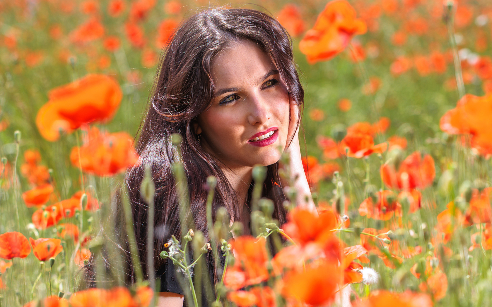 Молодая кареглазая девушка лежит на поле с красными маками