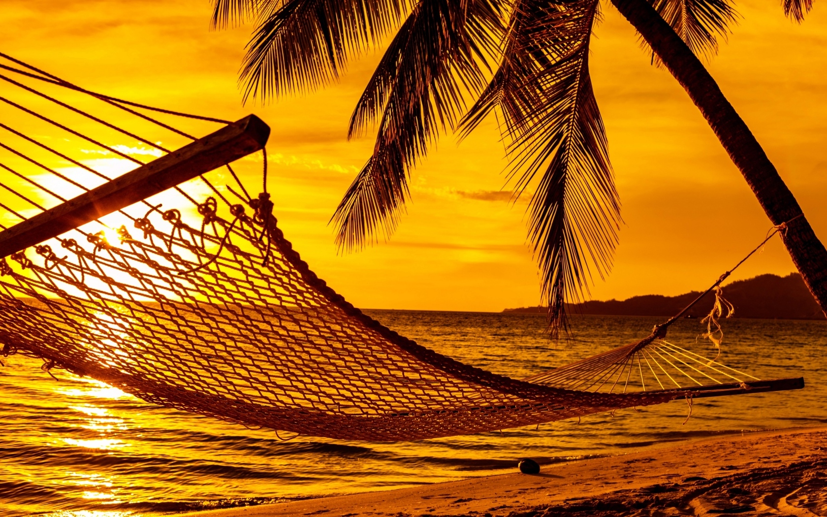 Гамак висит на пальмах на пляже на закате