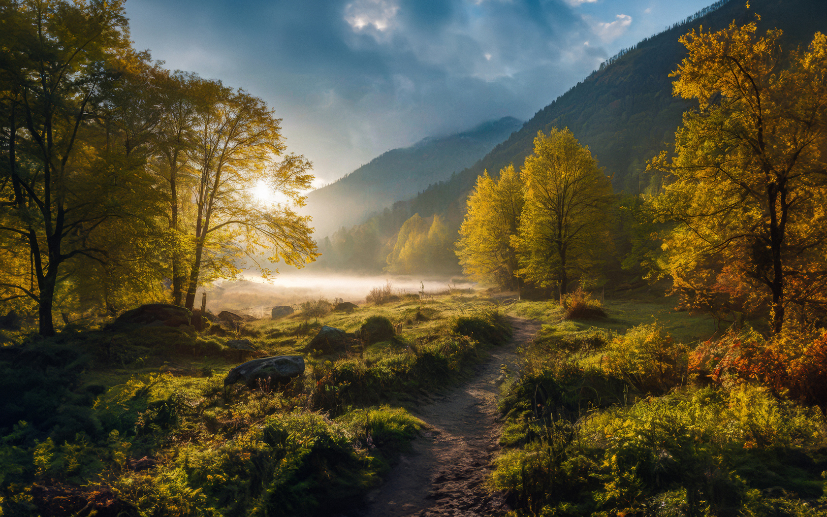 Лес в тумане у гор осенью