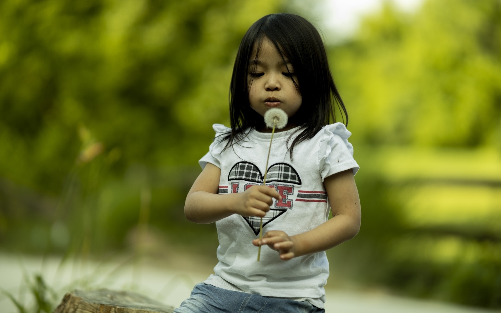 Маленькая девочка азиатка с одуванчиком в руках