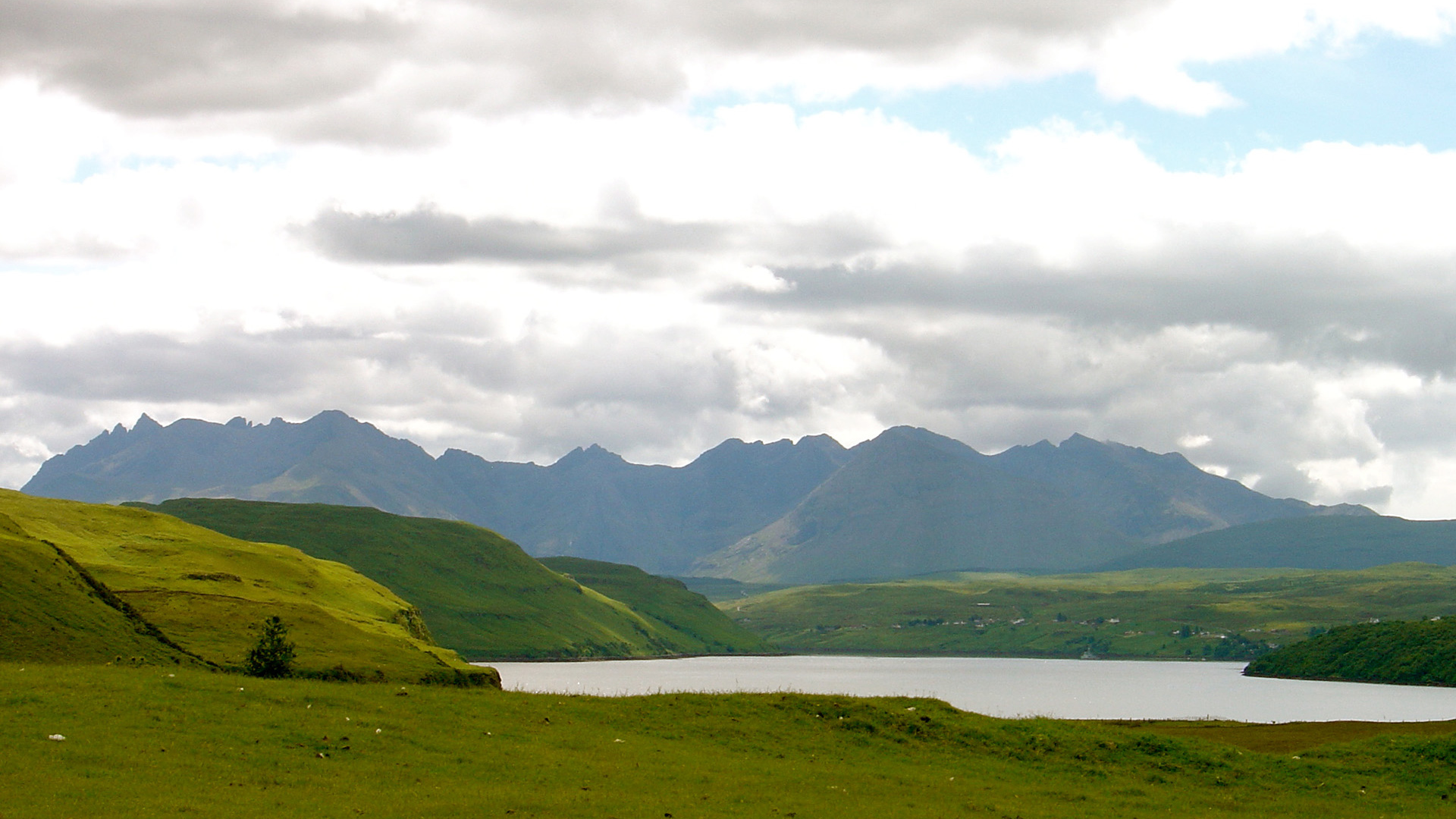 Зеленые поля