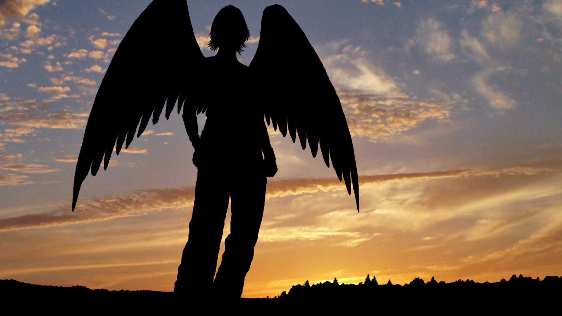 Тень ангела