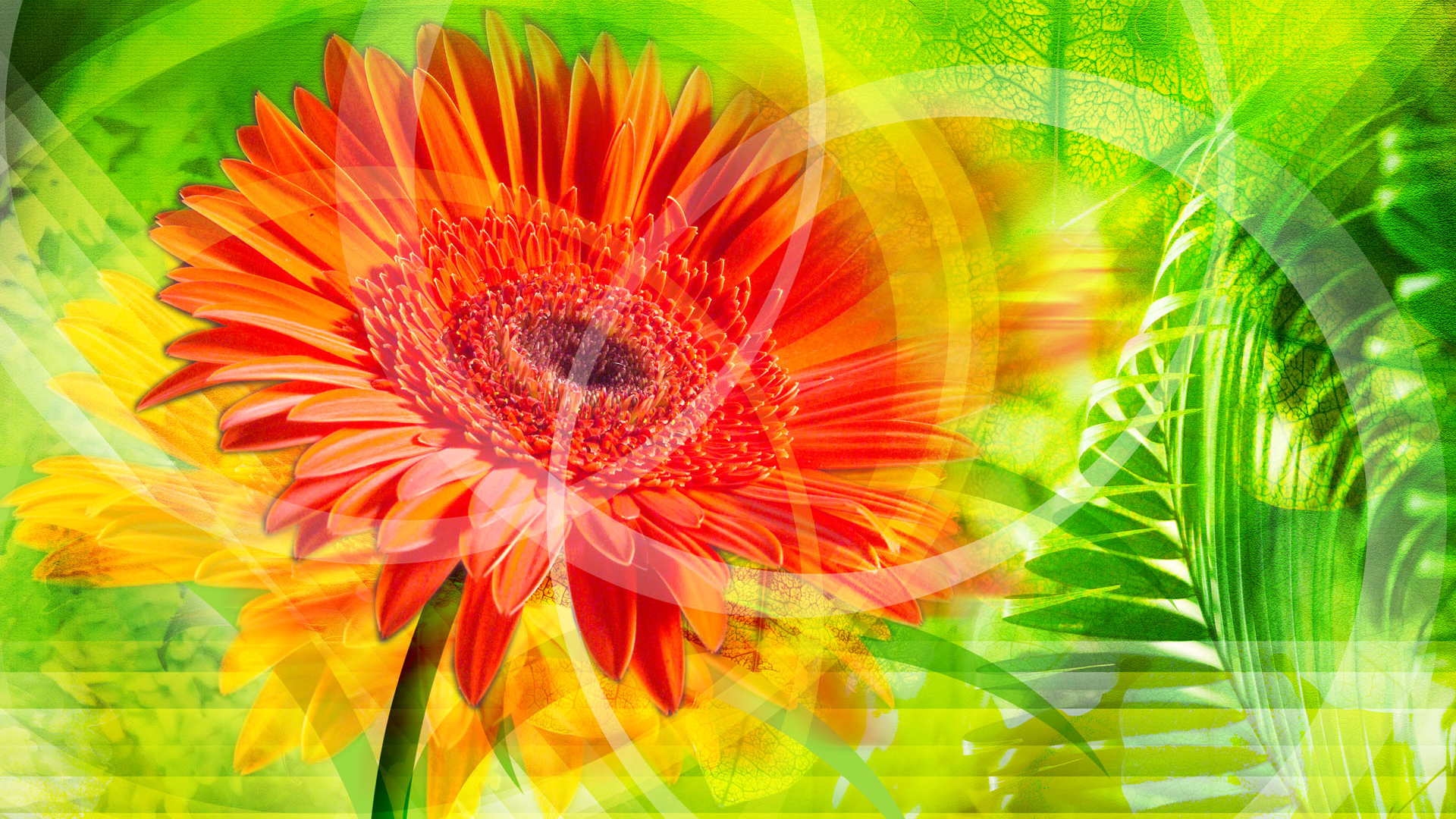 Красное сияние