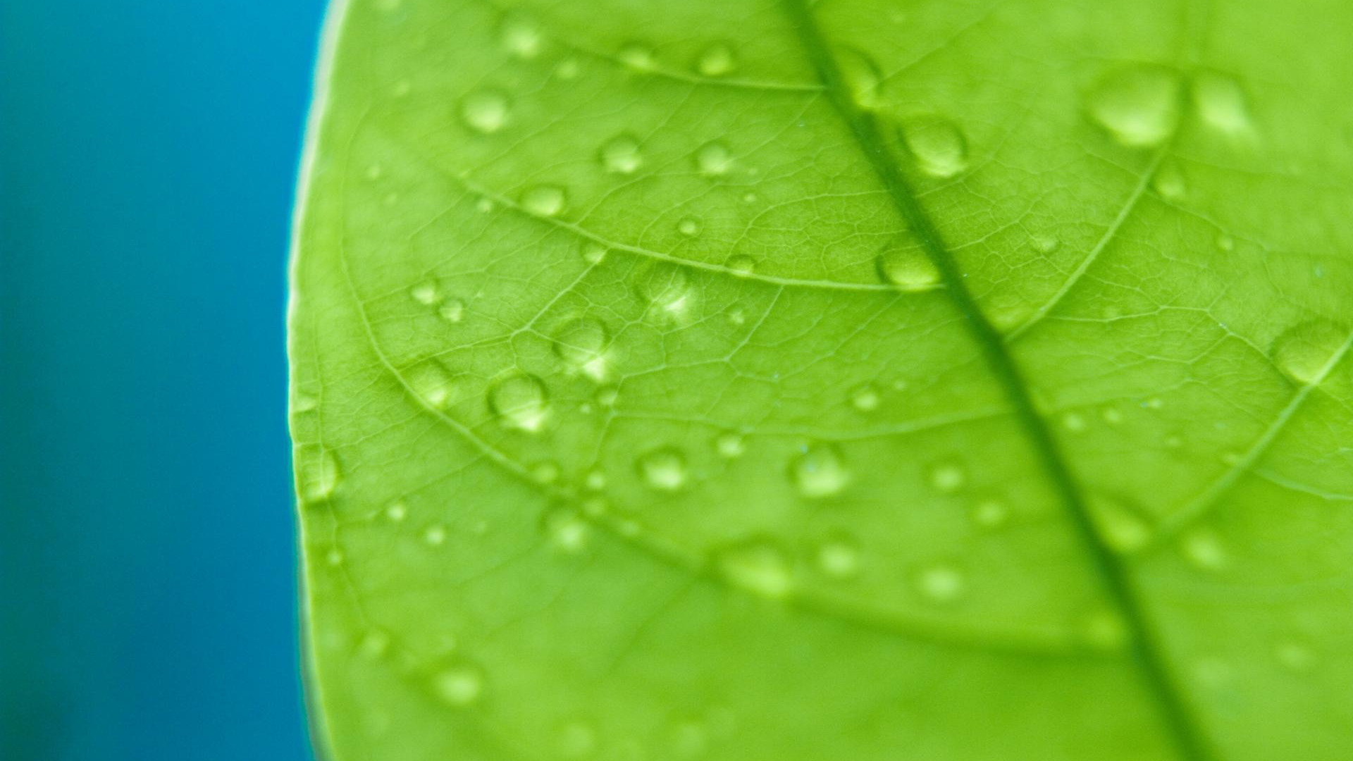 Сбор капель