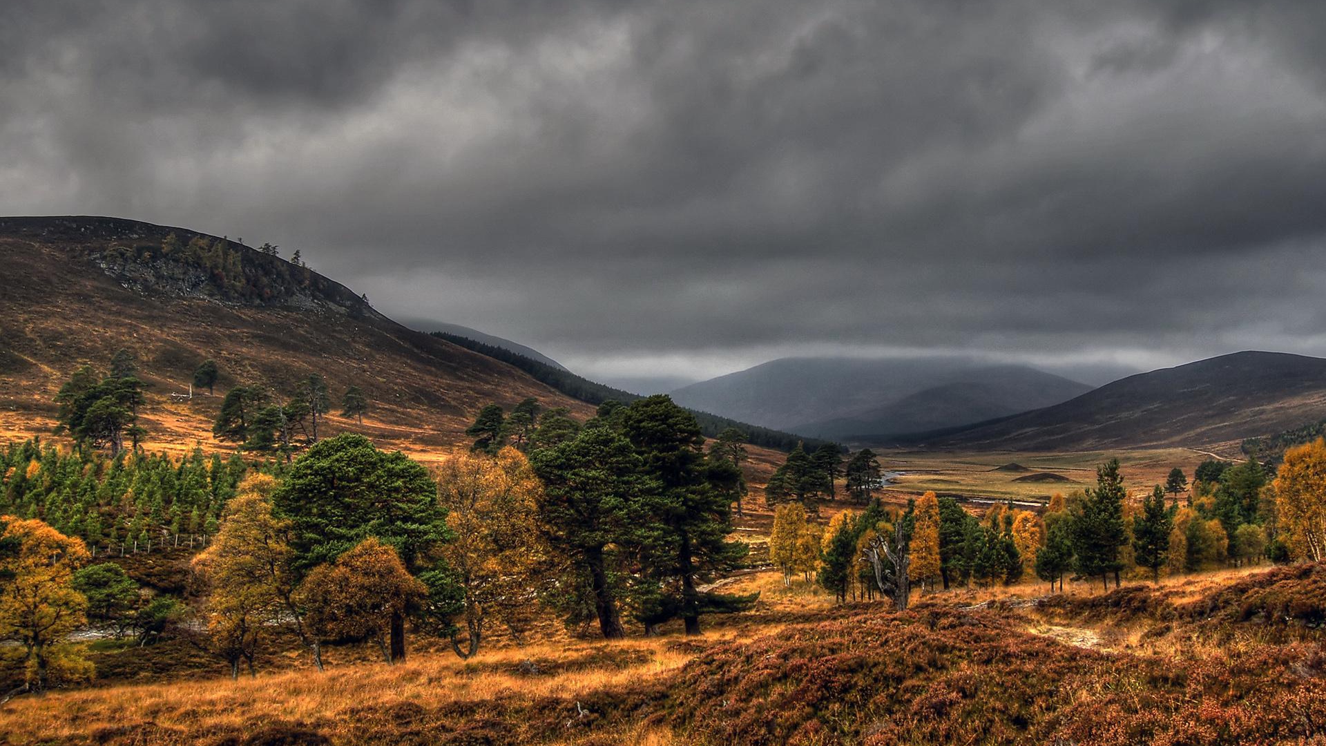 Дымчатые топазы Шотландии