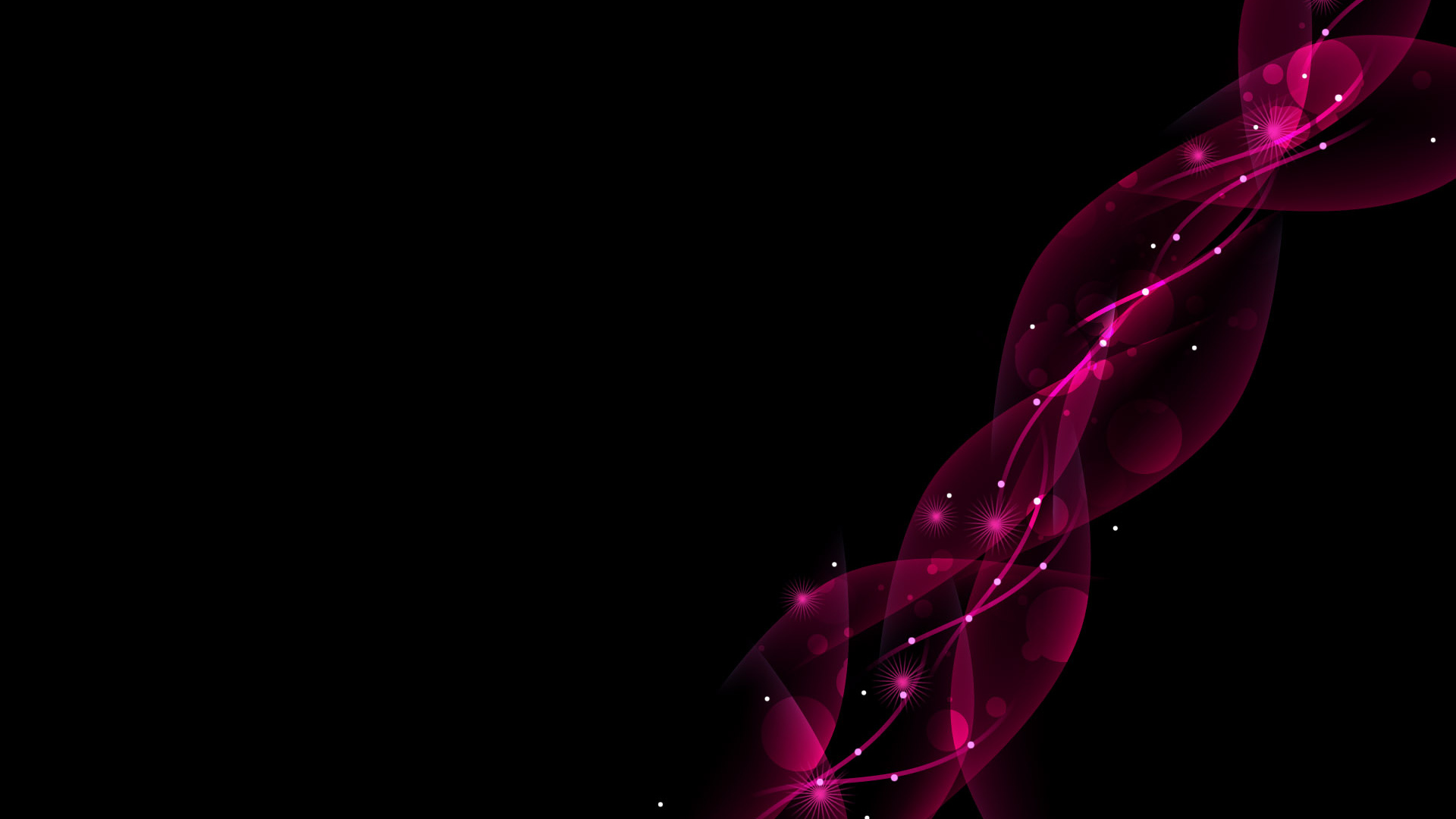 Розовые цветы