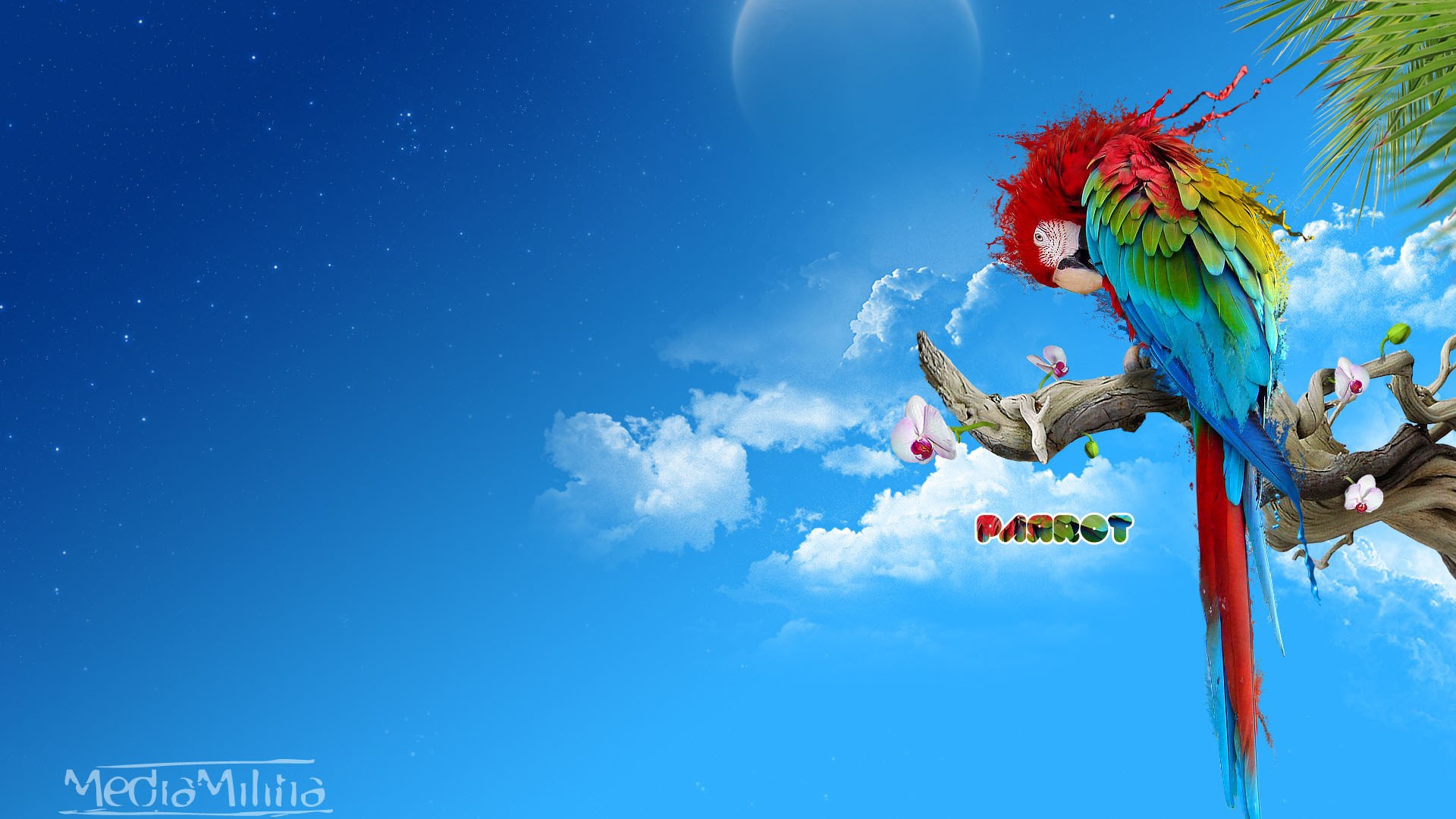 Красочный попугай