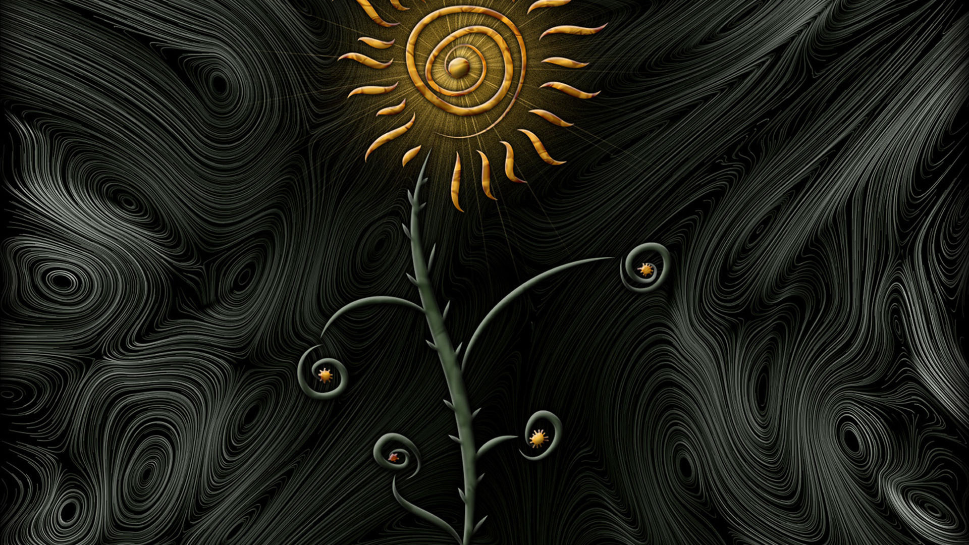 Цветок солнца