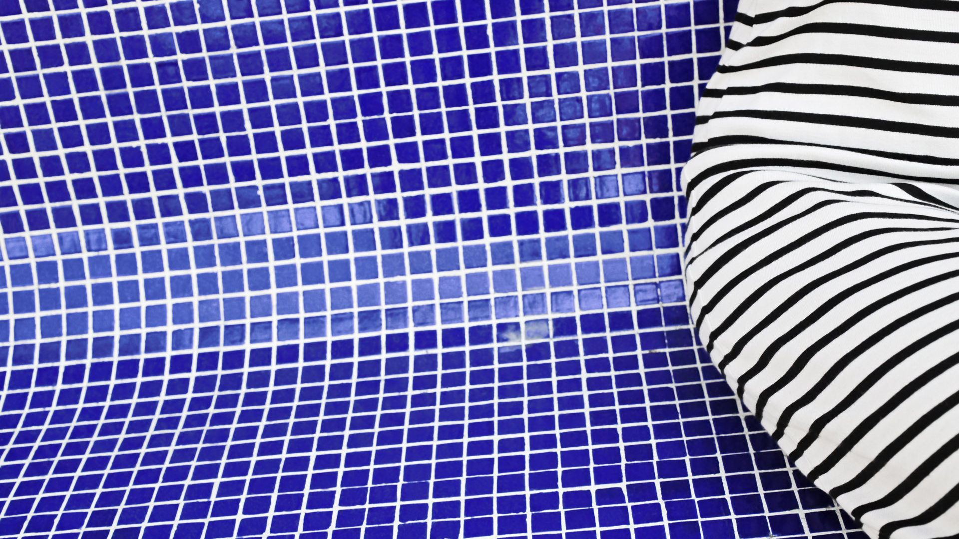 Зебра в бассейне