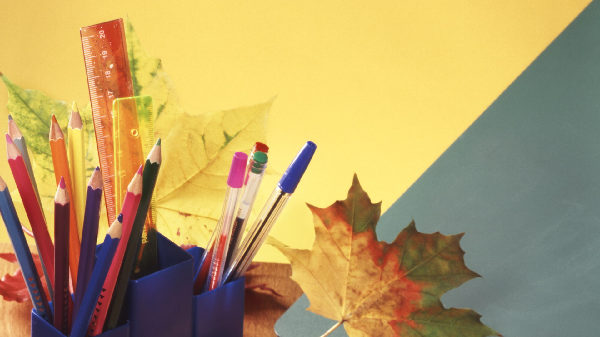 Новый учебный год