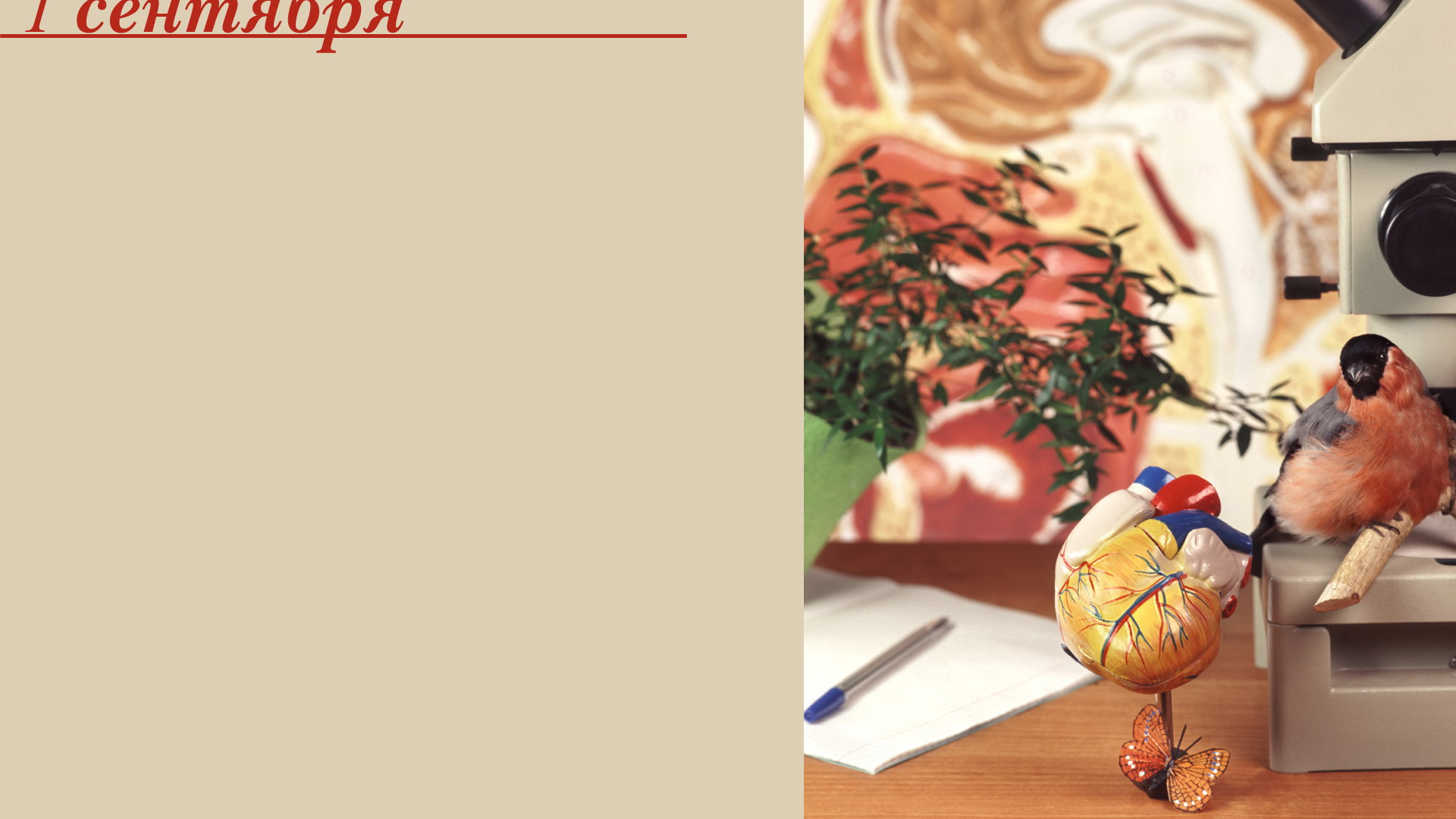 Начало учебного года