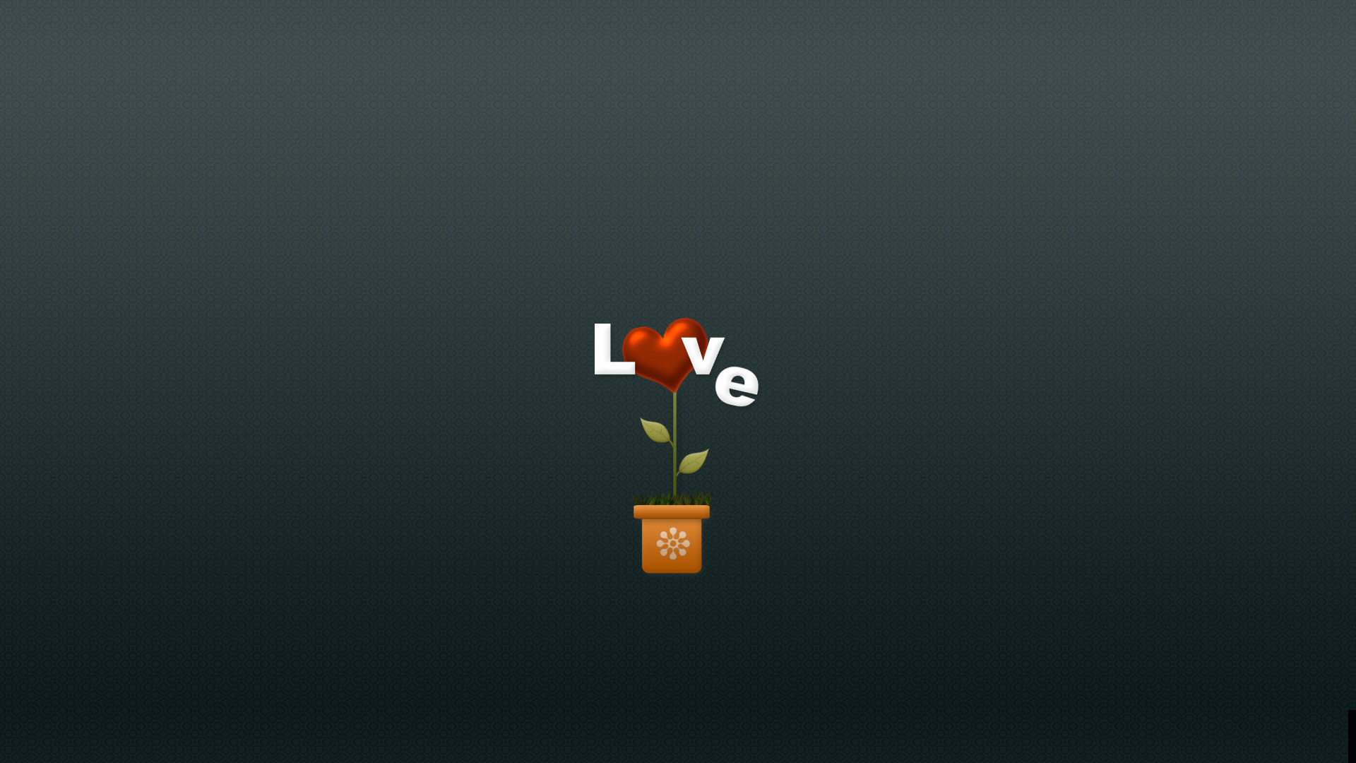 Цветок любви