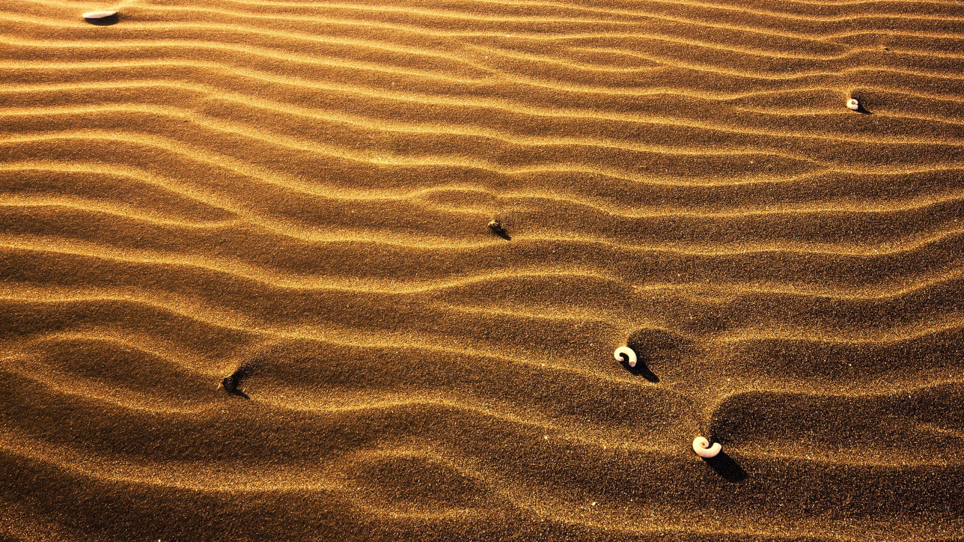 Пляжный песок