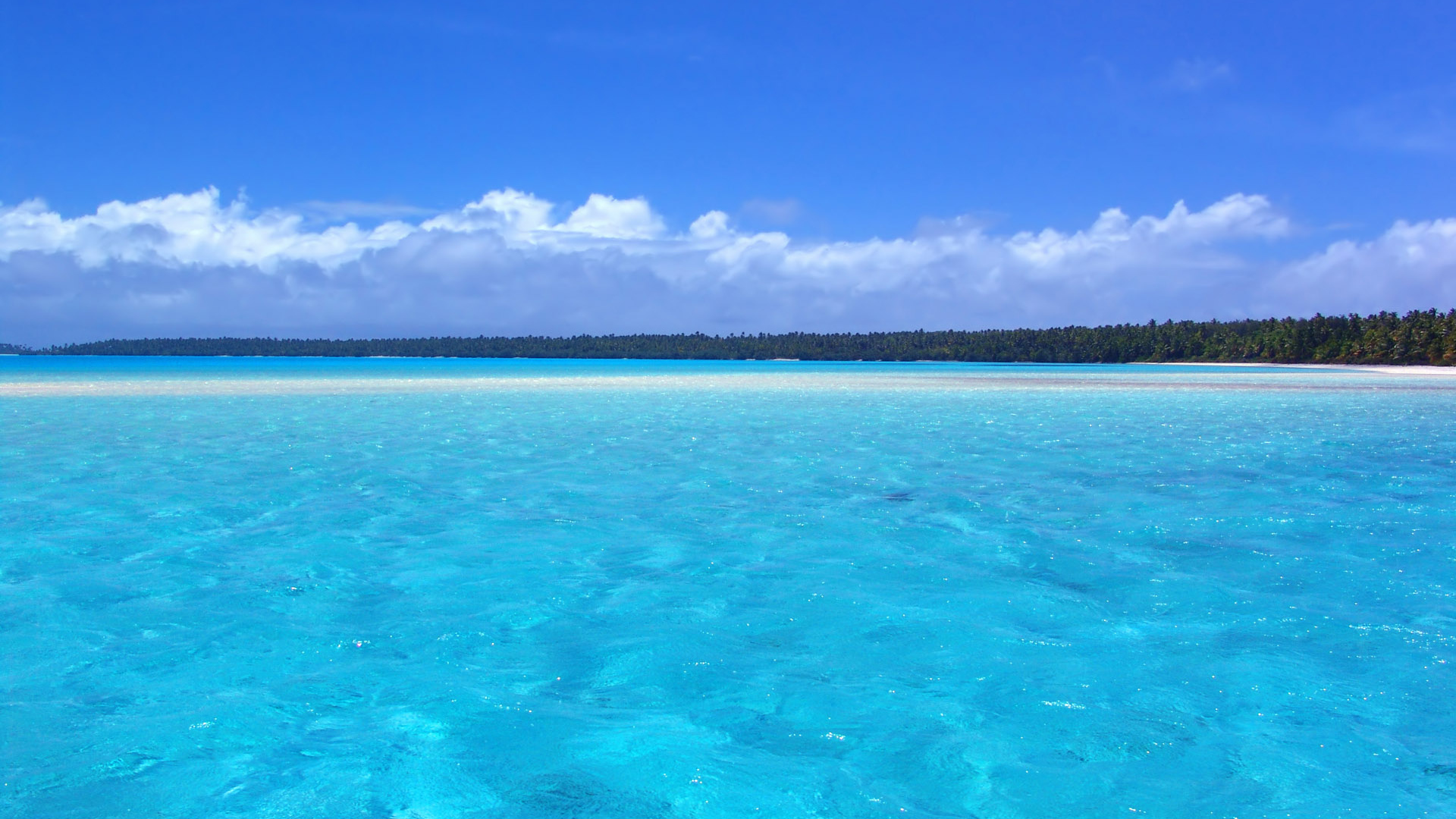 Отдых на берегу моря