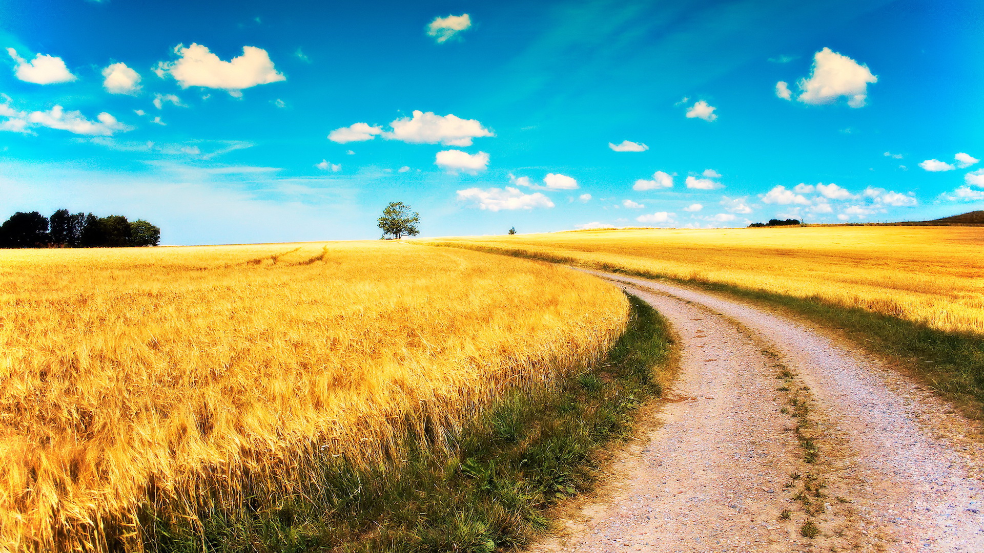 Дорога среди полей