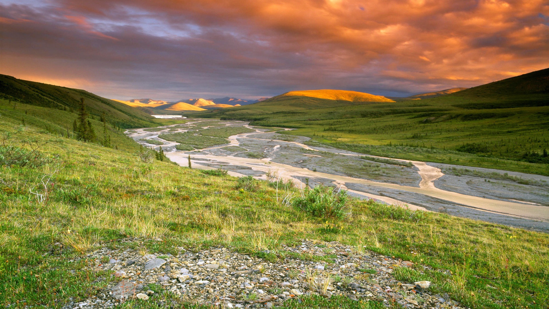 Холмистая долина