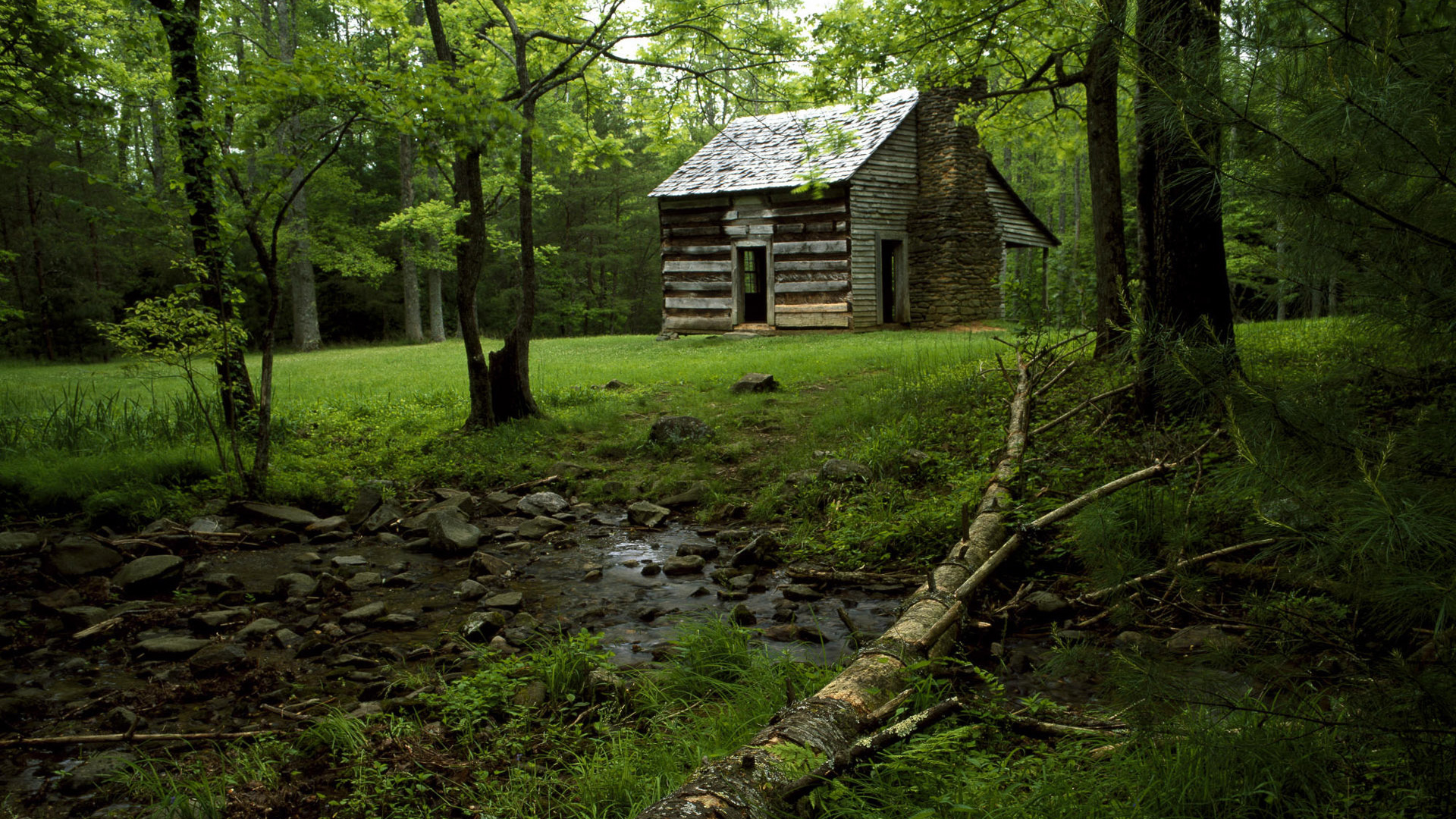 Дом на лесной поляне