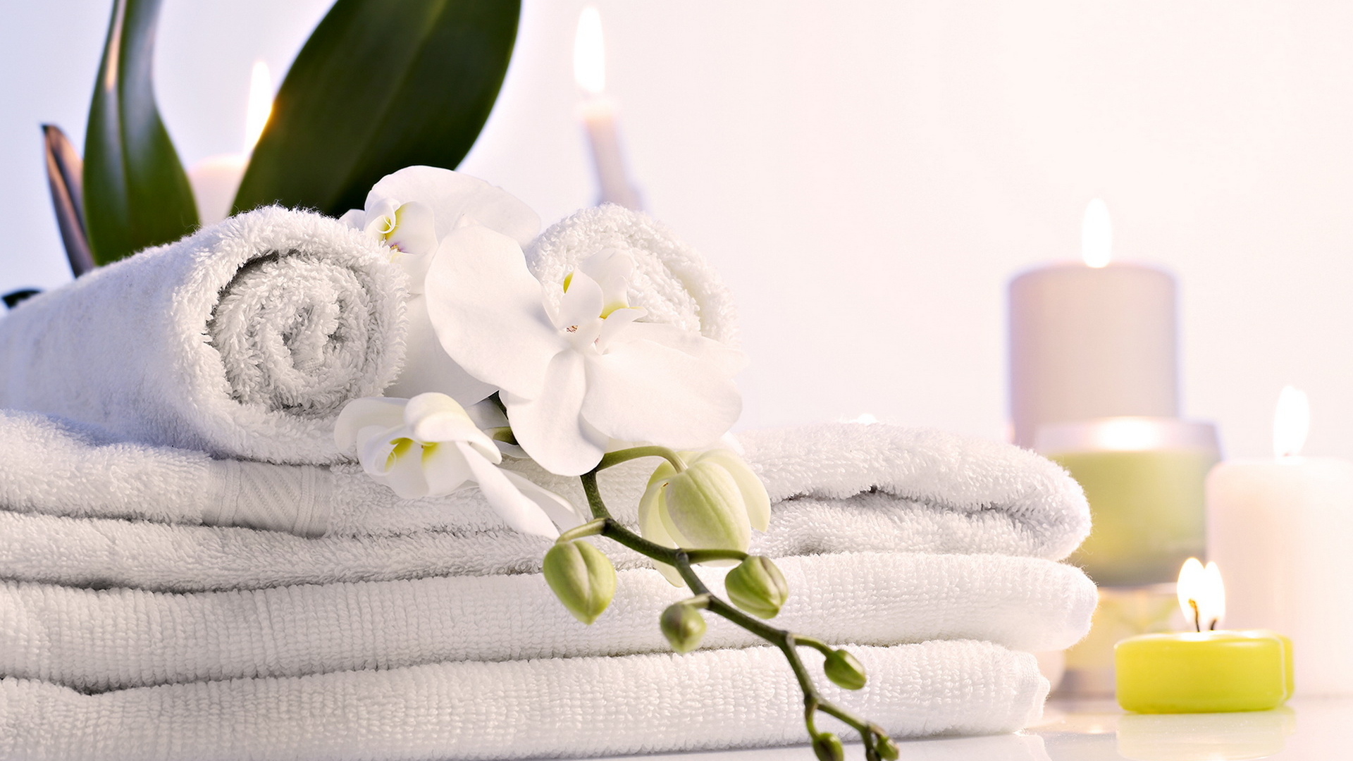 Чистые полотенца