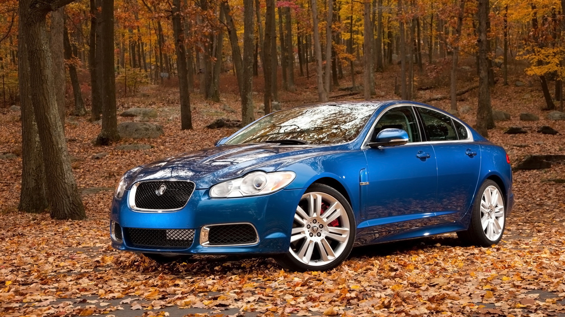 2011-Jaguar-XF