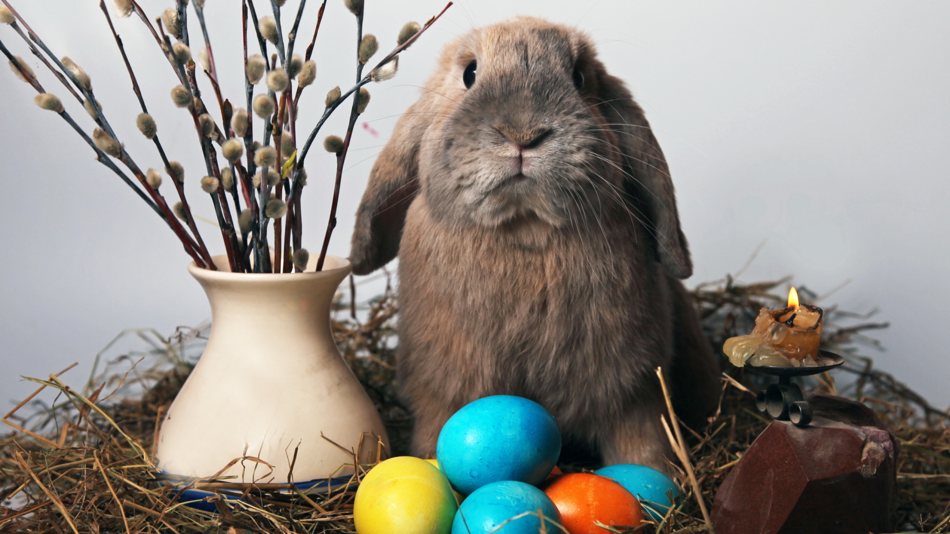 Пасхальный кролик