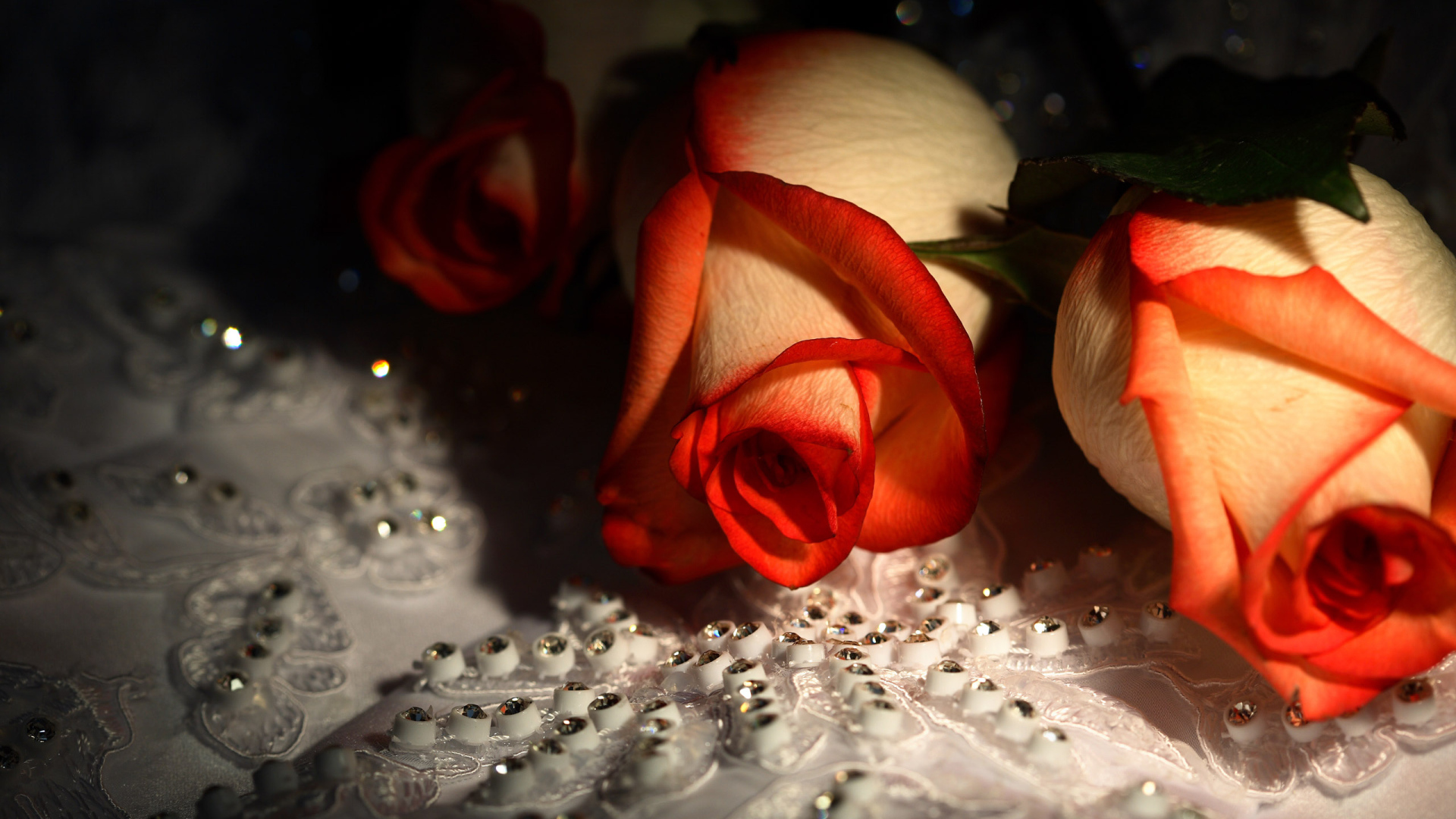 Красивые цветы девушкам