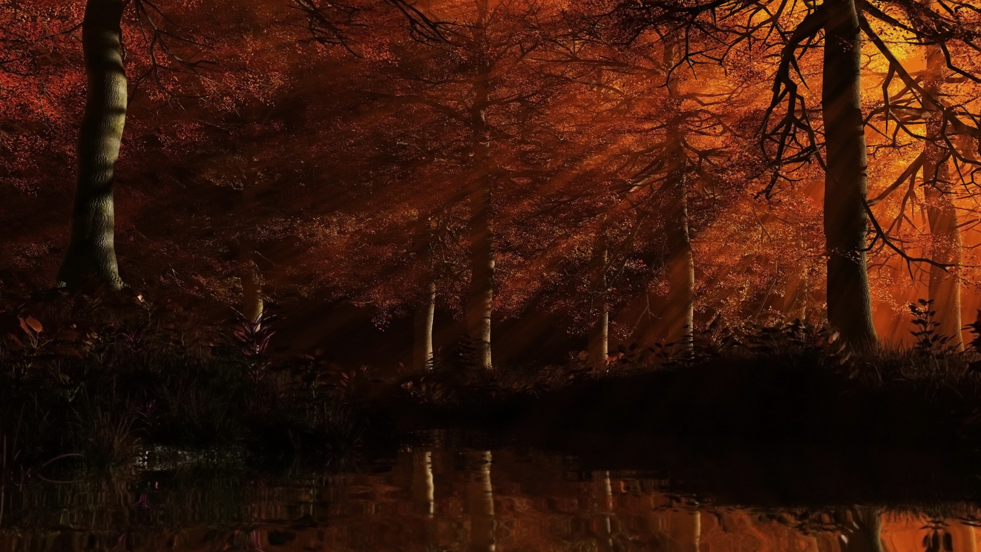 Рыжий лес на закате