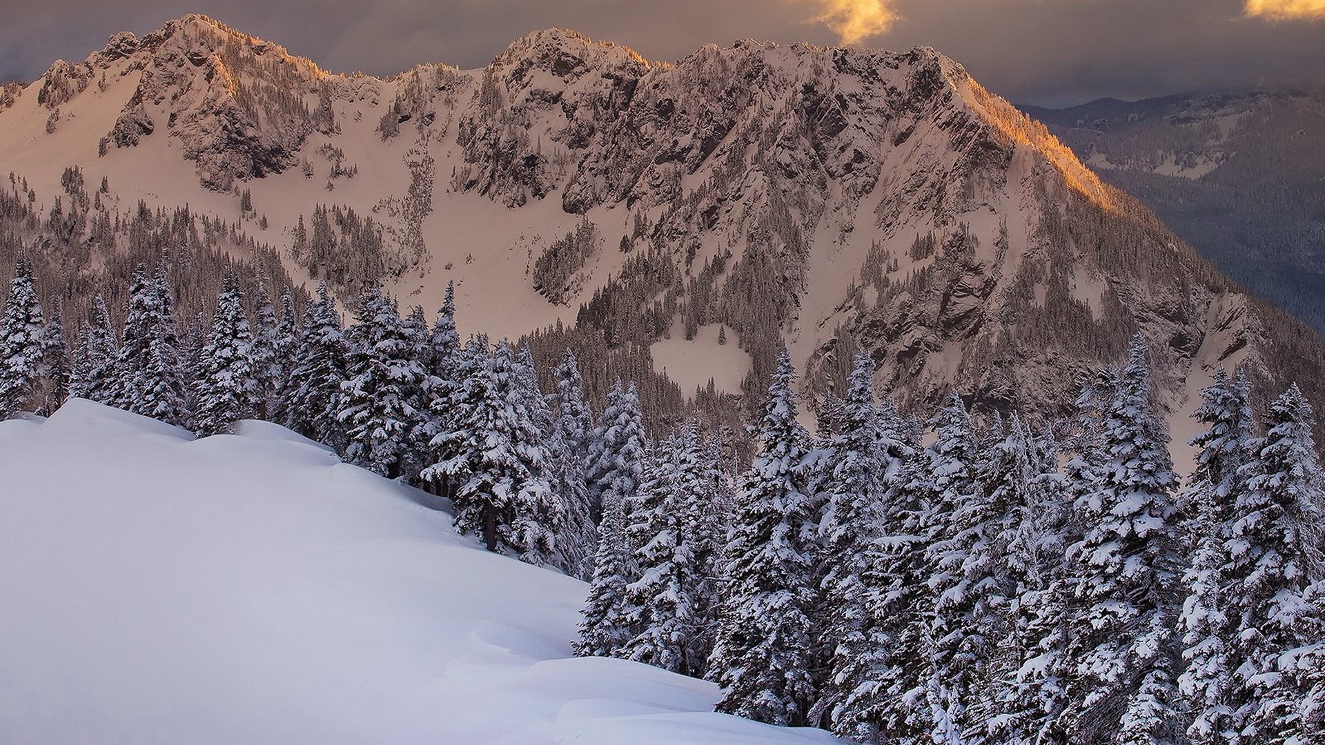 Горная свежесть