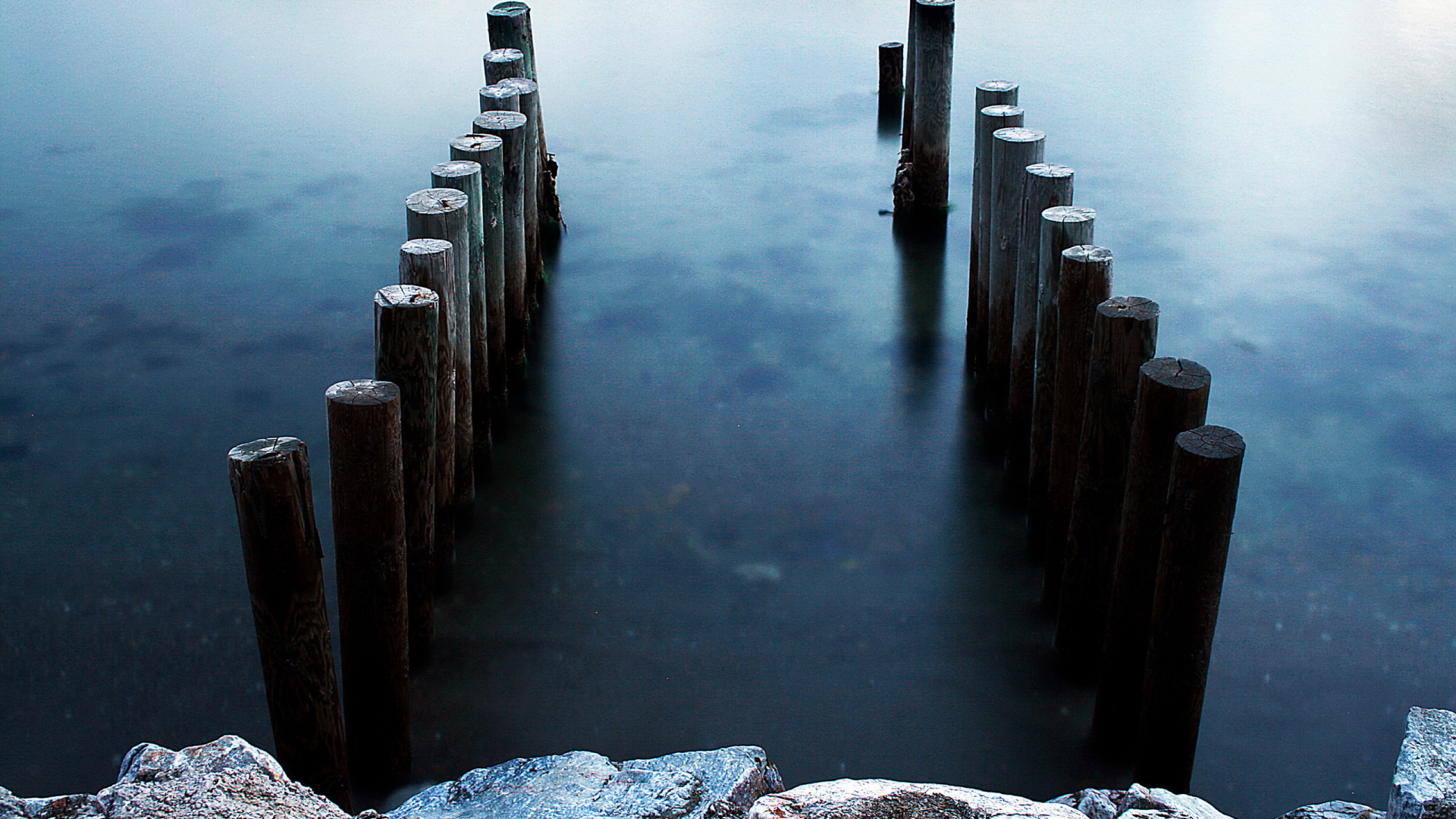 Бревна в воде