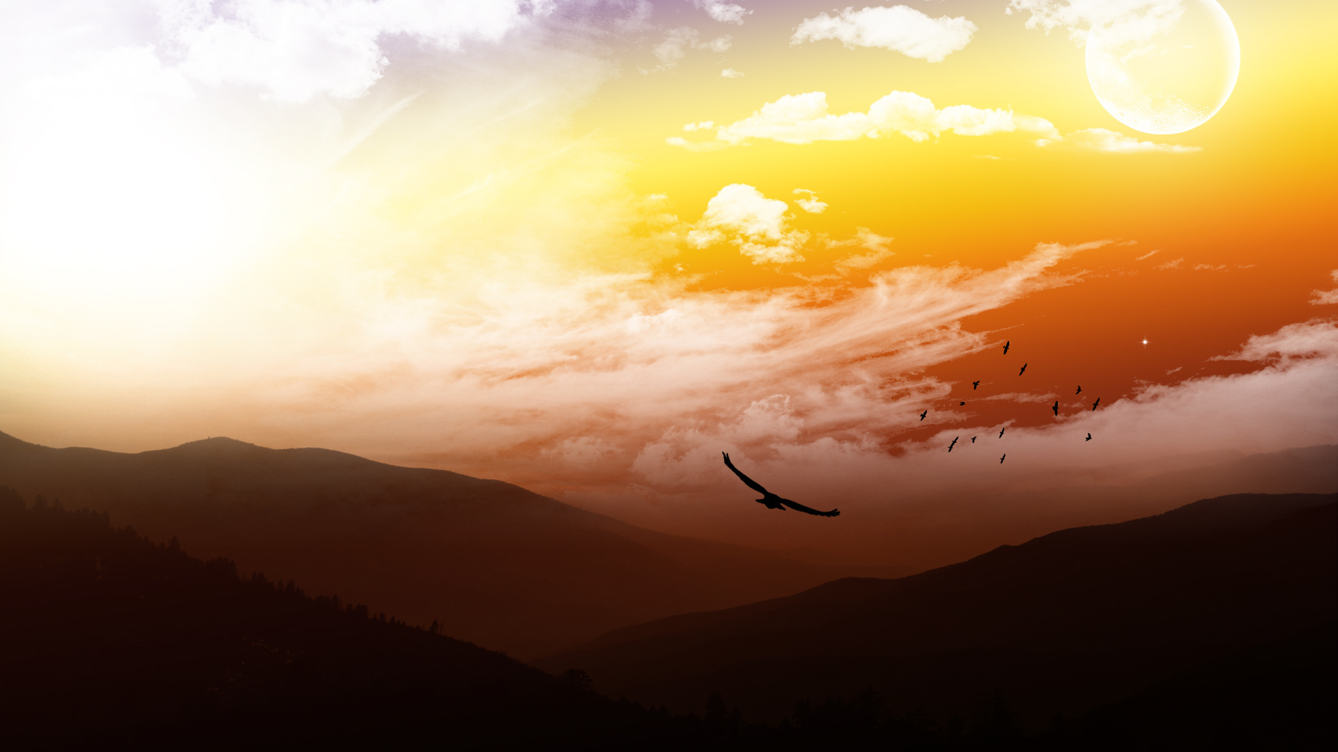 На высоте птичьего полета