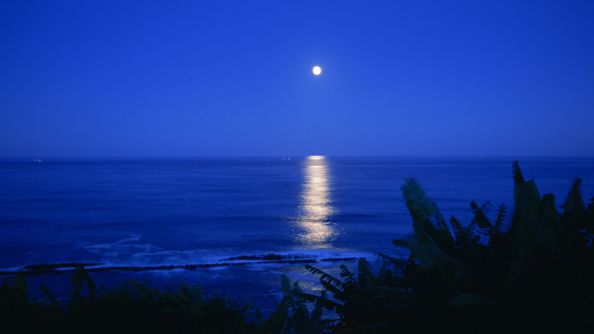 Лунная дорожка