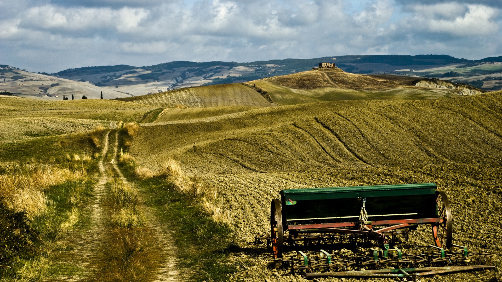 Поле в Тоскане