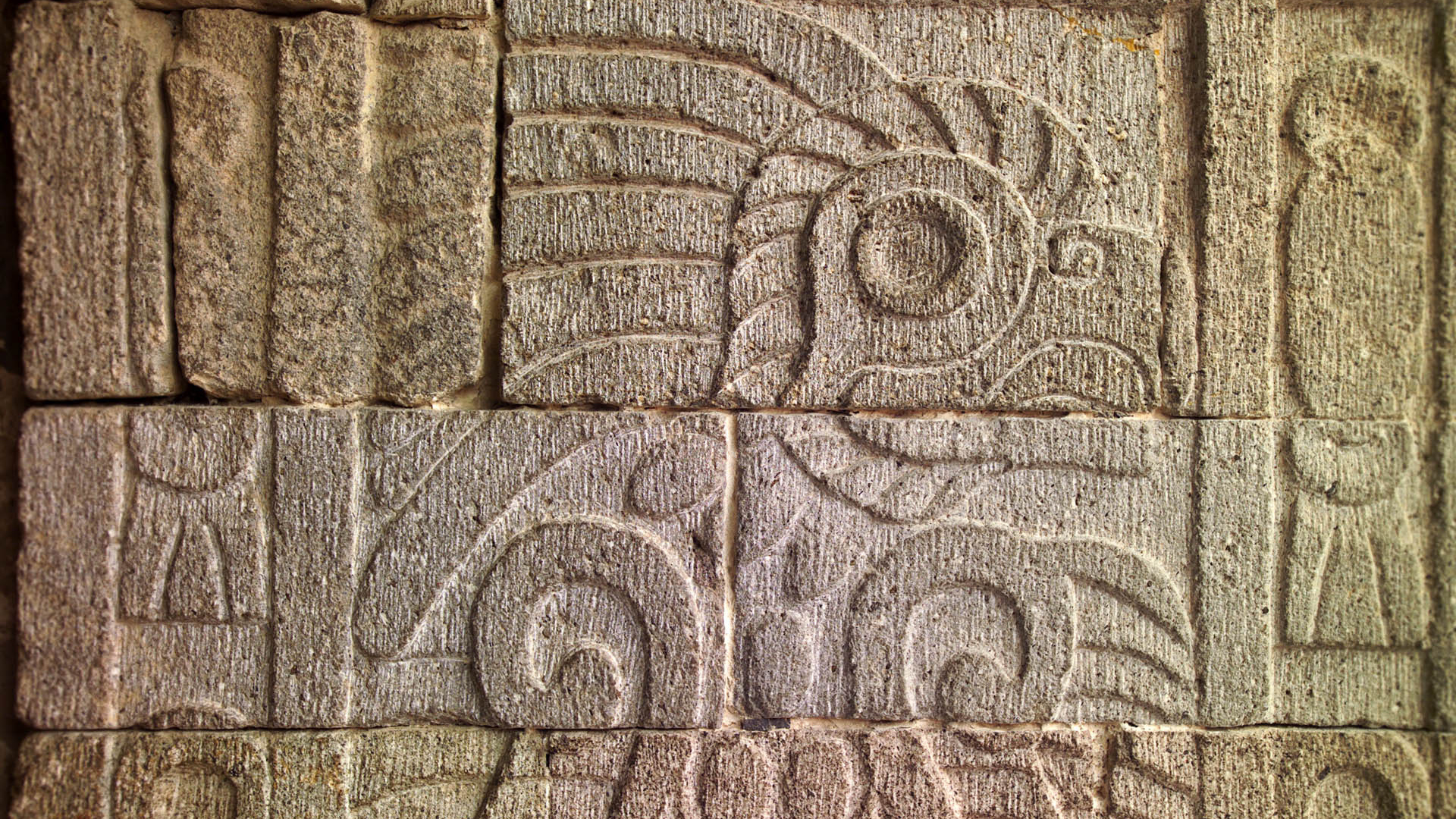 Ацтеки Тольтеки Ольмеки Инки Майя