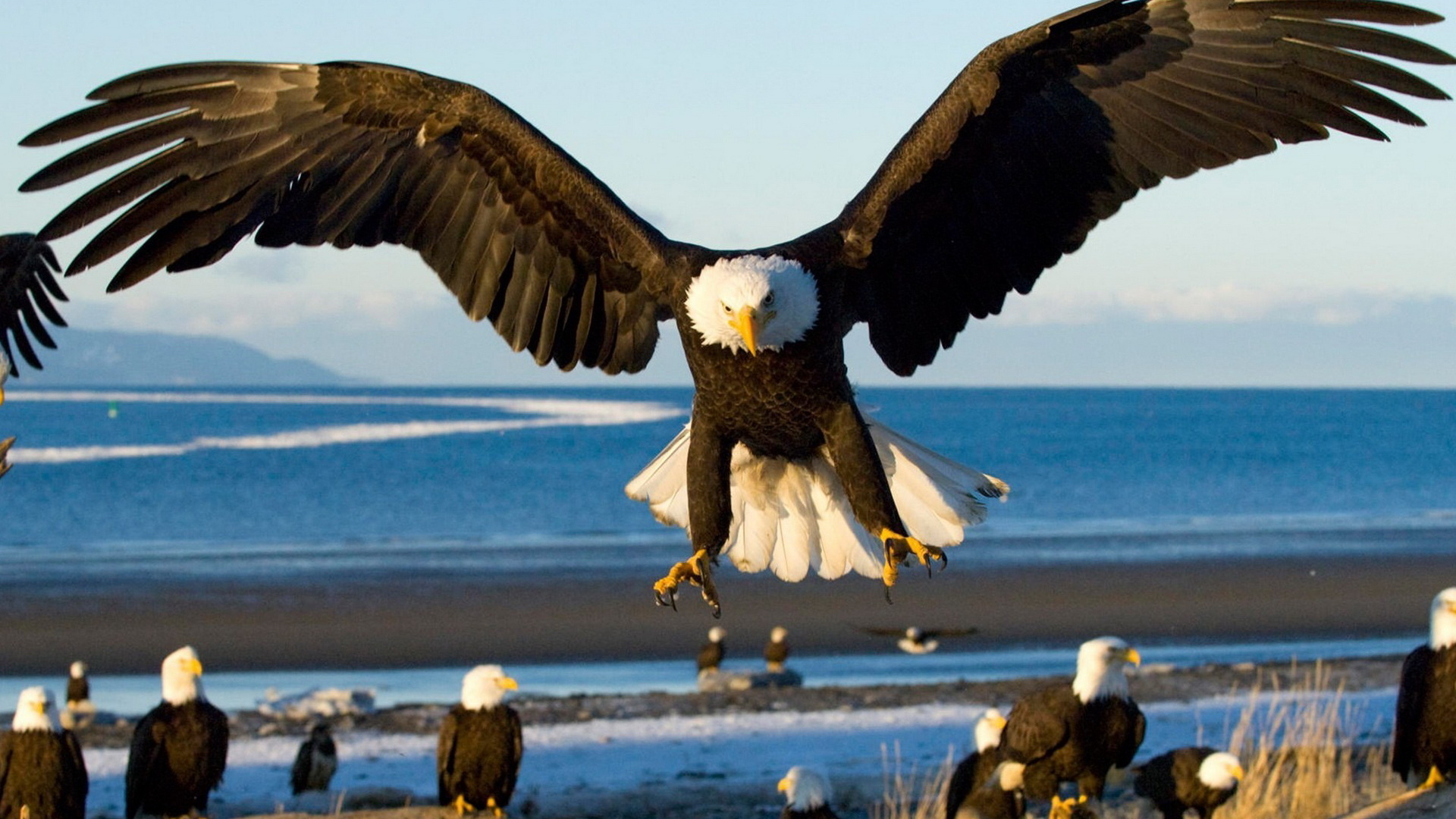 Грозный орел