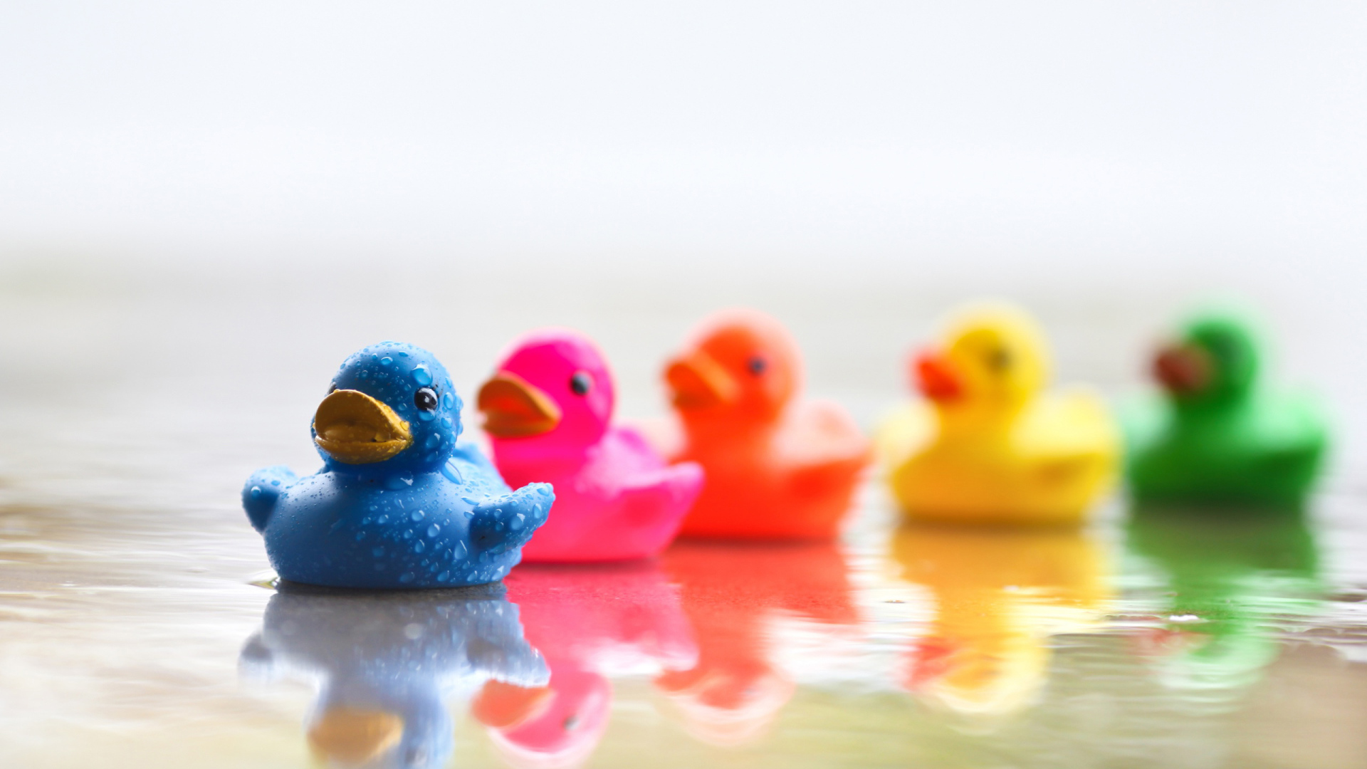 Цветные уточки