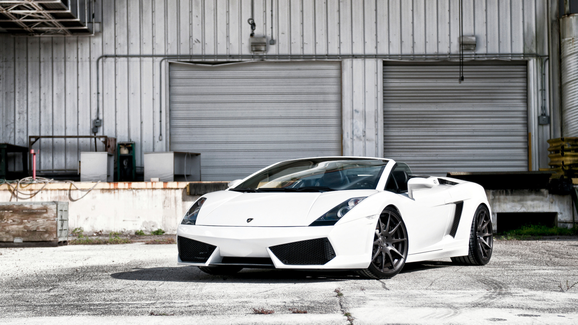 white Lamborghini Gallardo