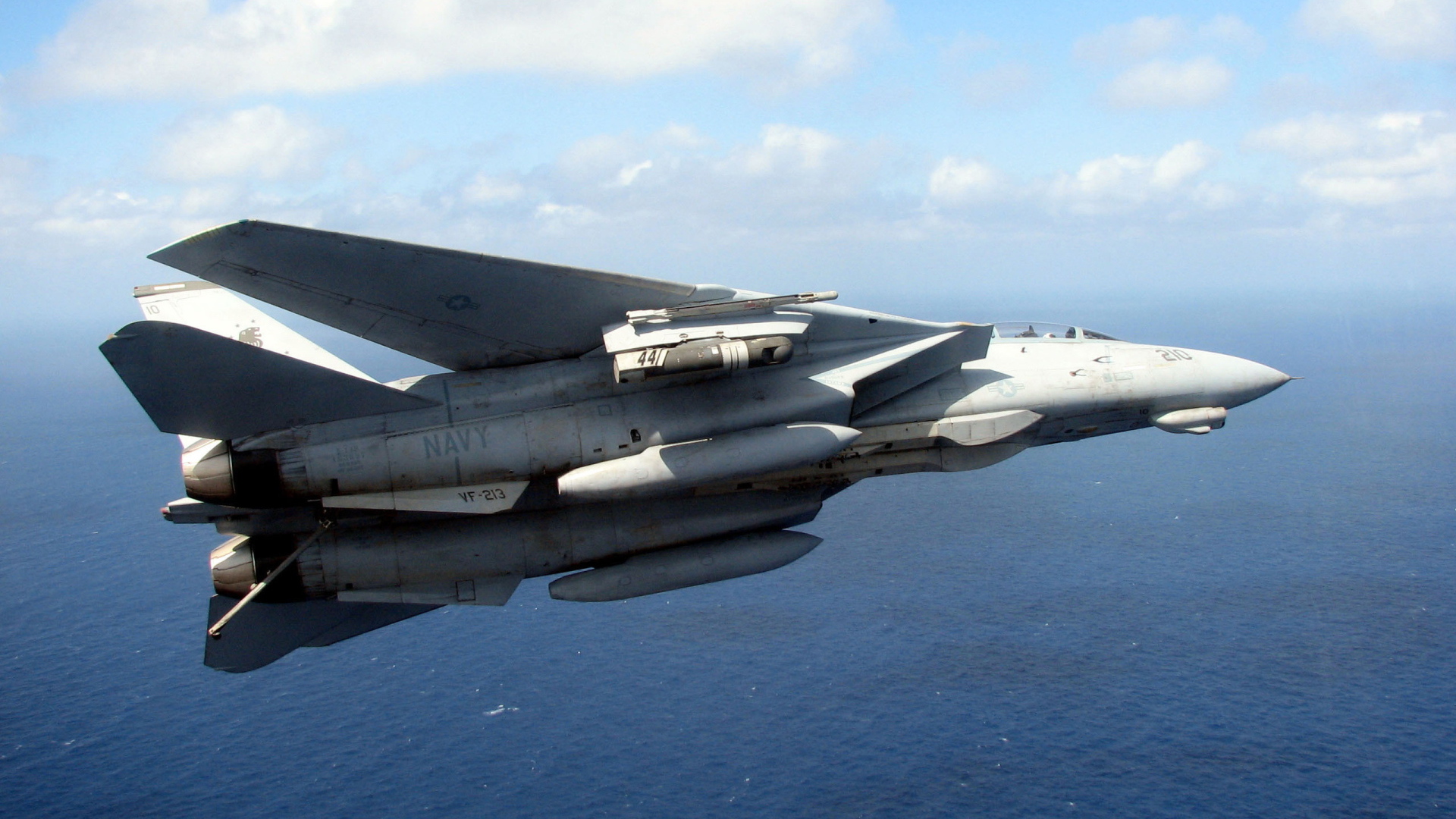 Grumman F-14 Tomcat