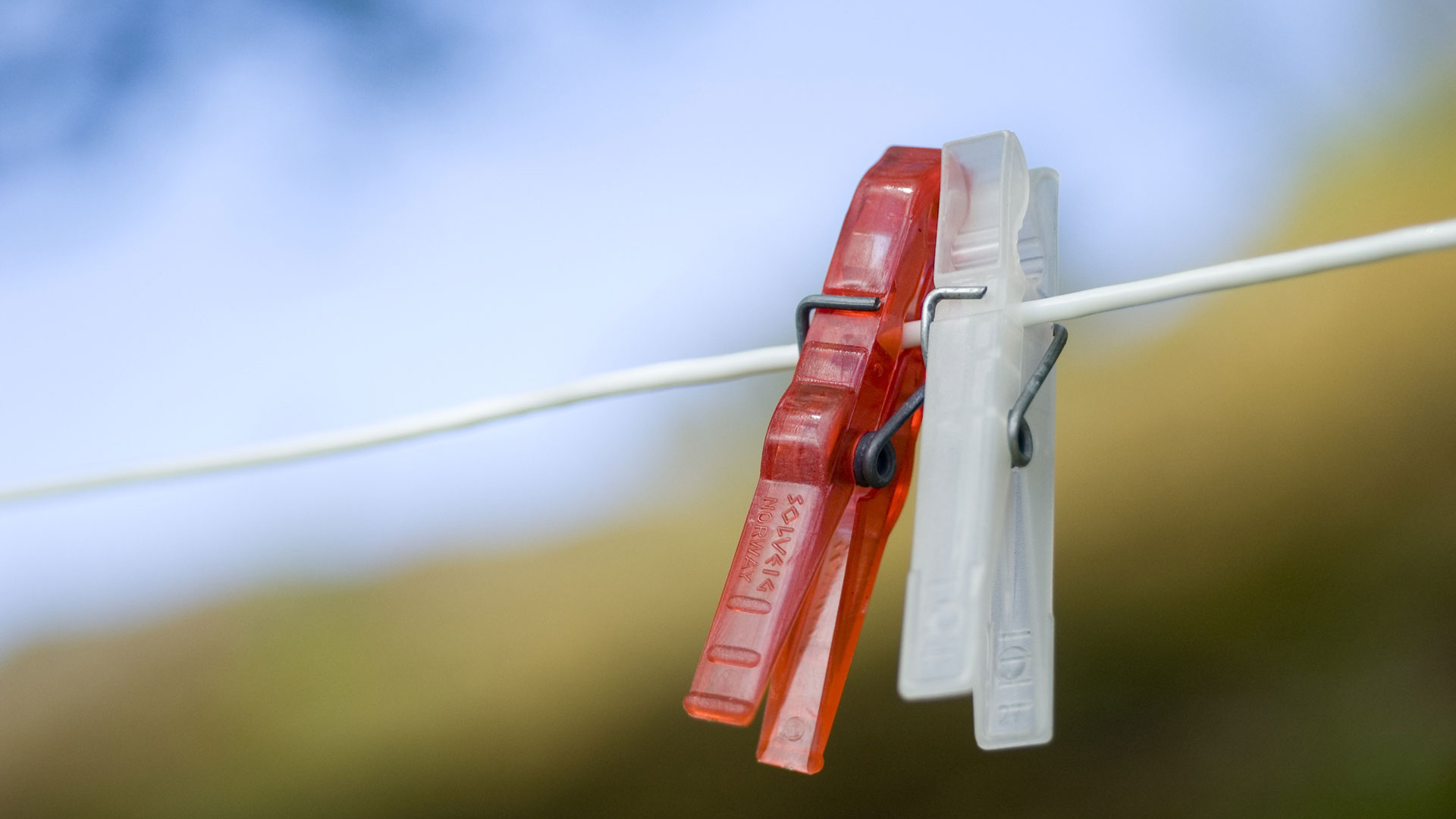 Любовь прищепки