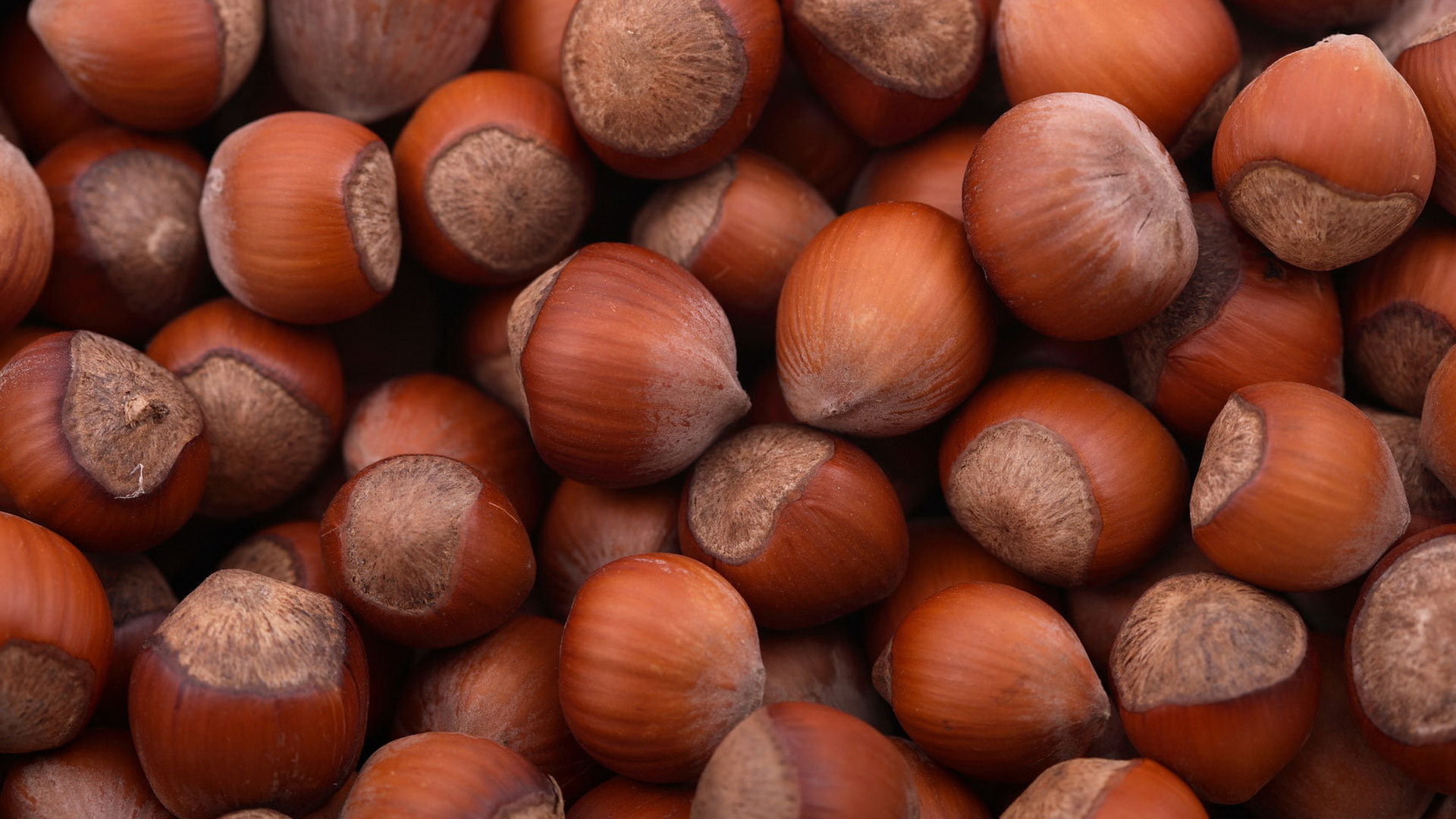 Лесные орехи