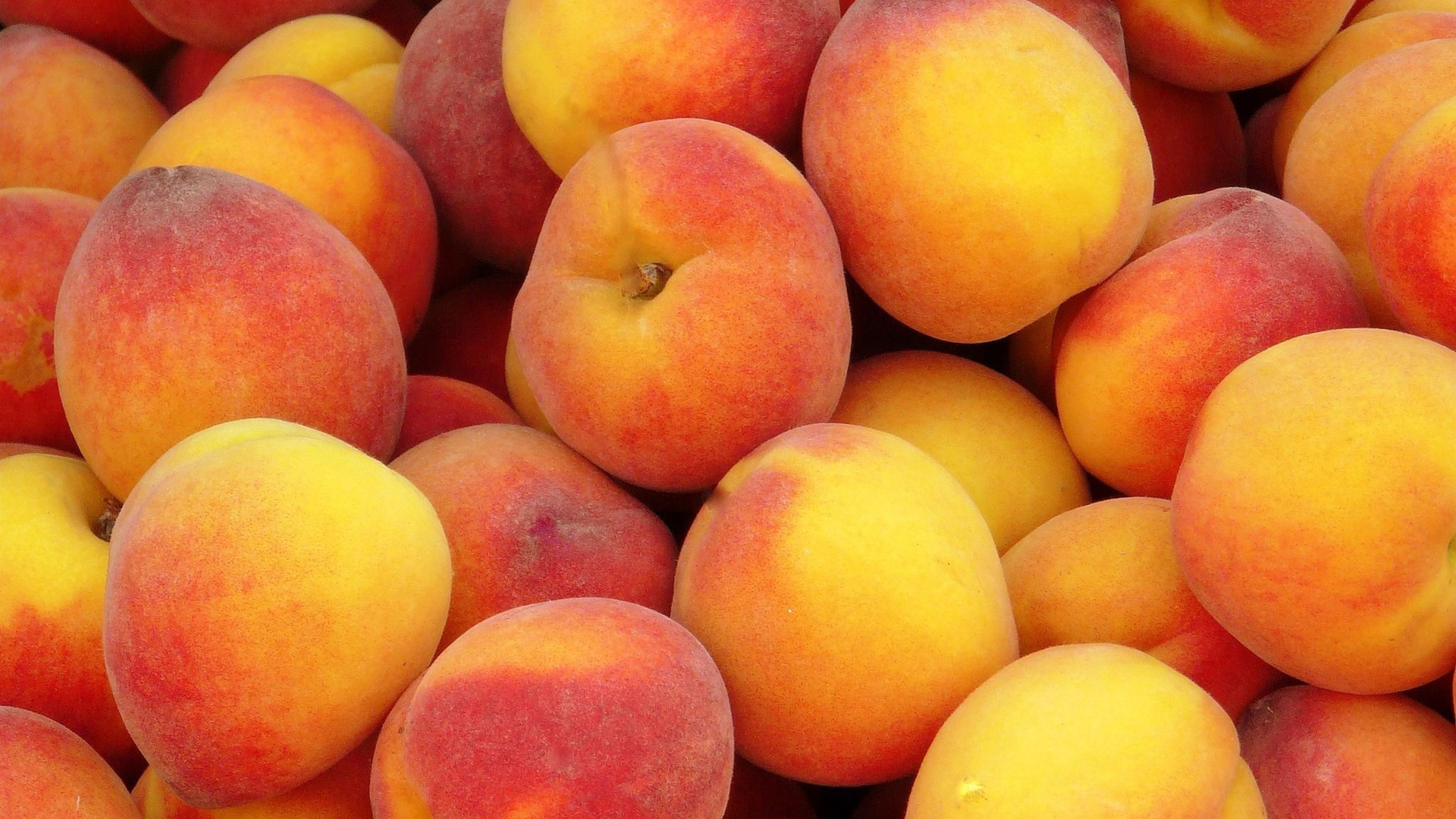 Куча персиков
