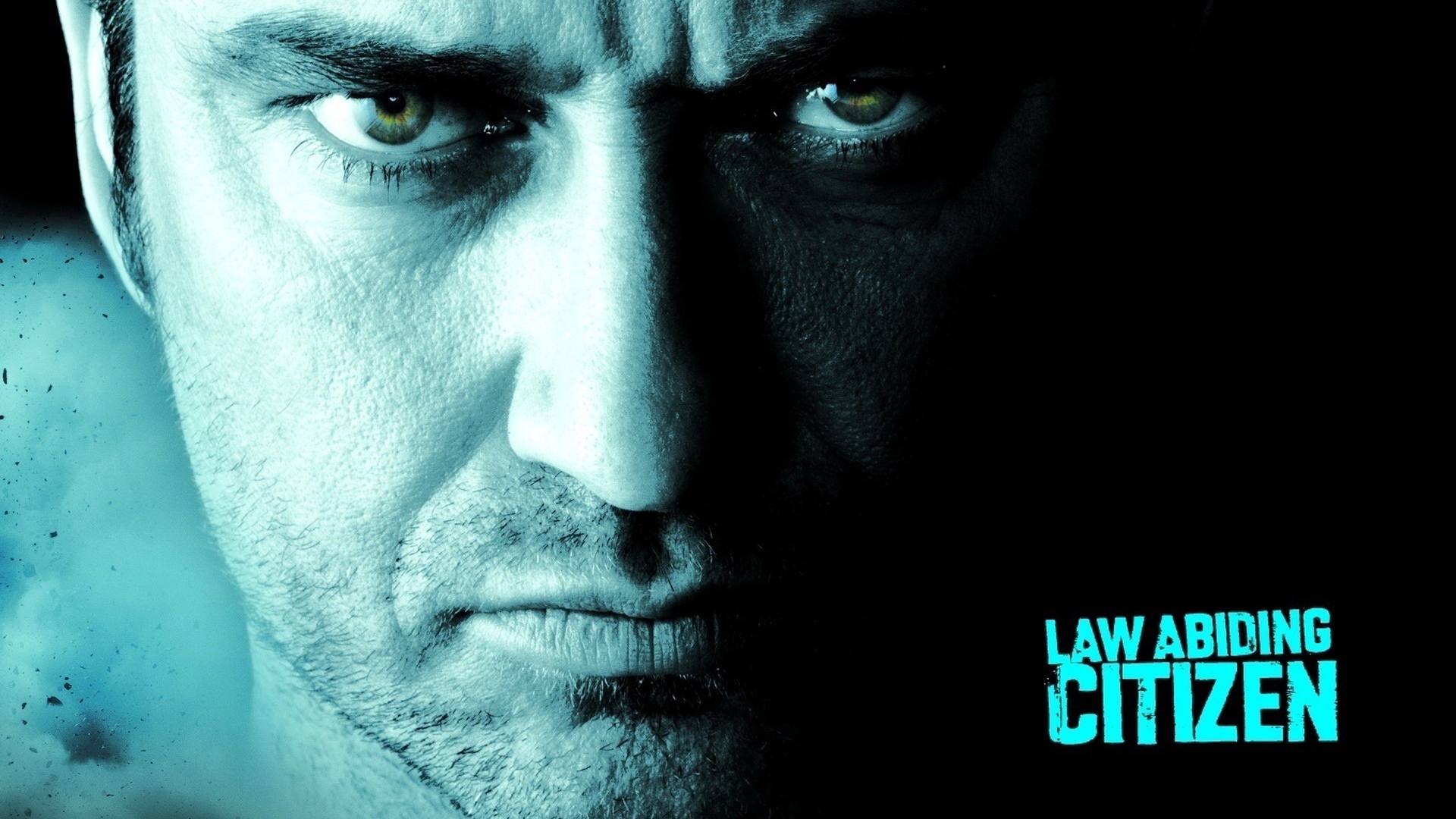 Законопослушный гражданин